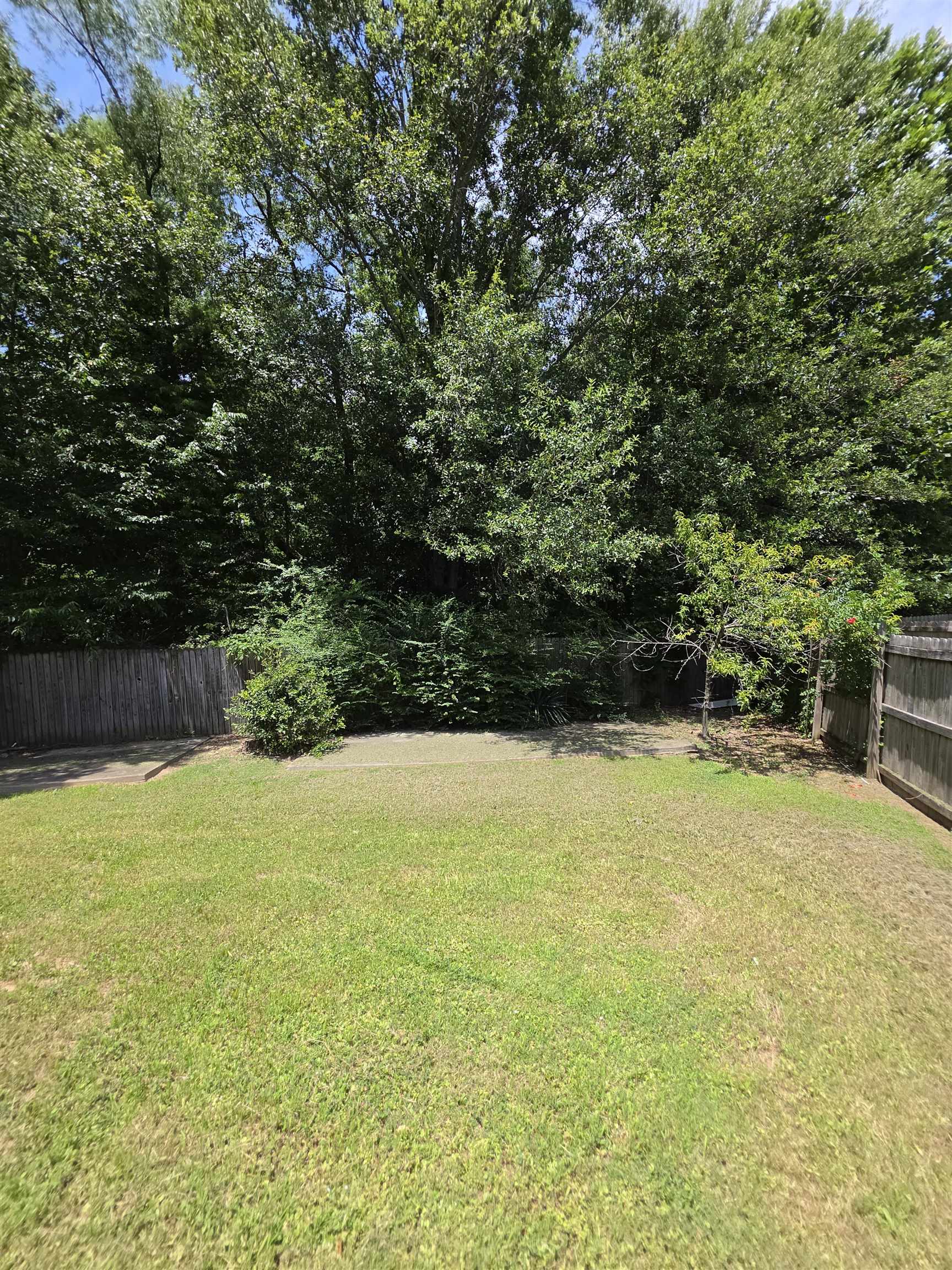 7253 Rourke Cir Property Photo 29