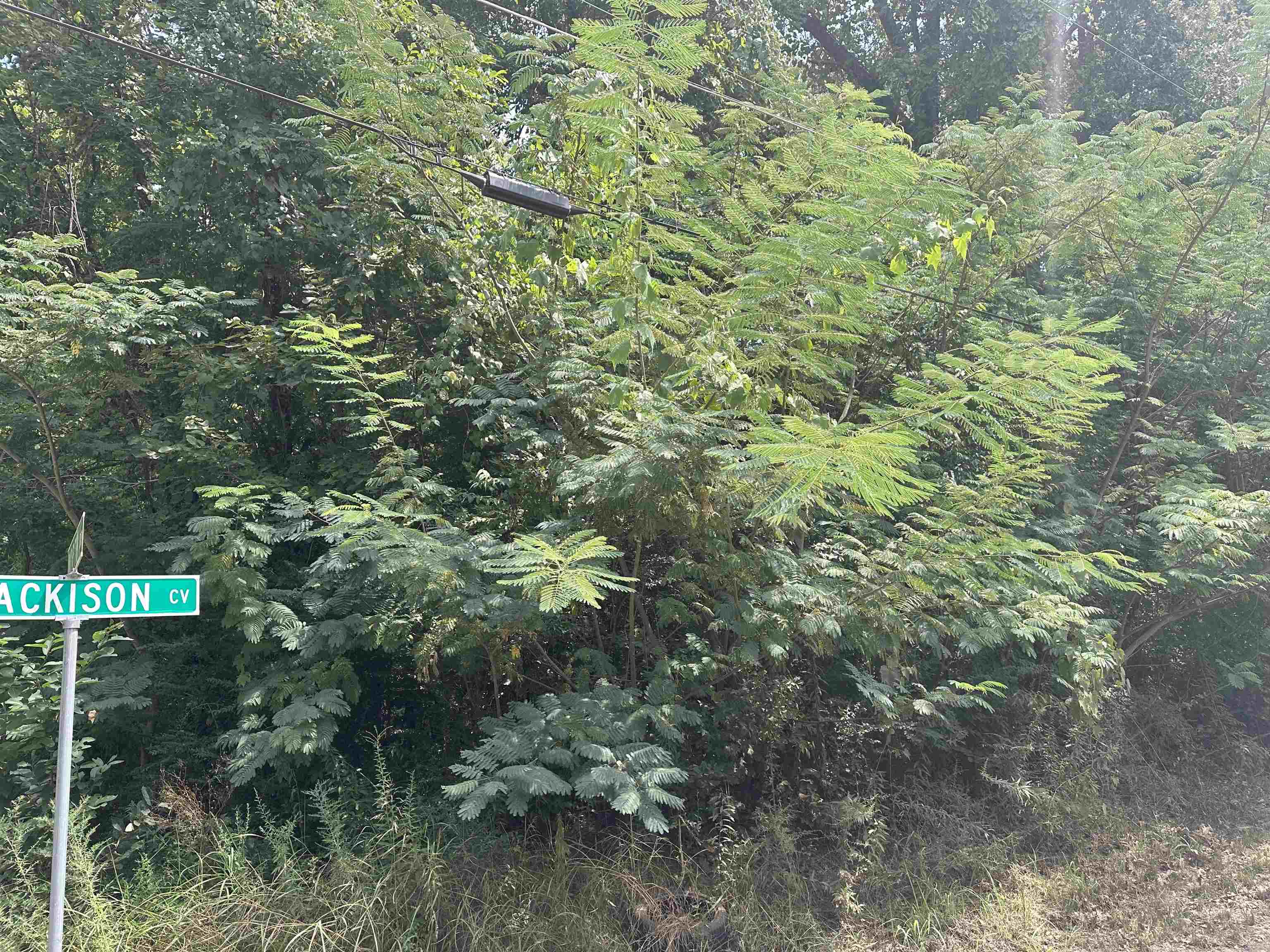 1362 S BLACKISON CV Property Photo 1
