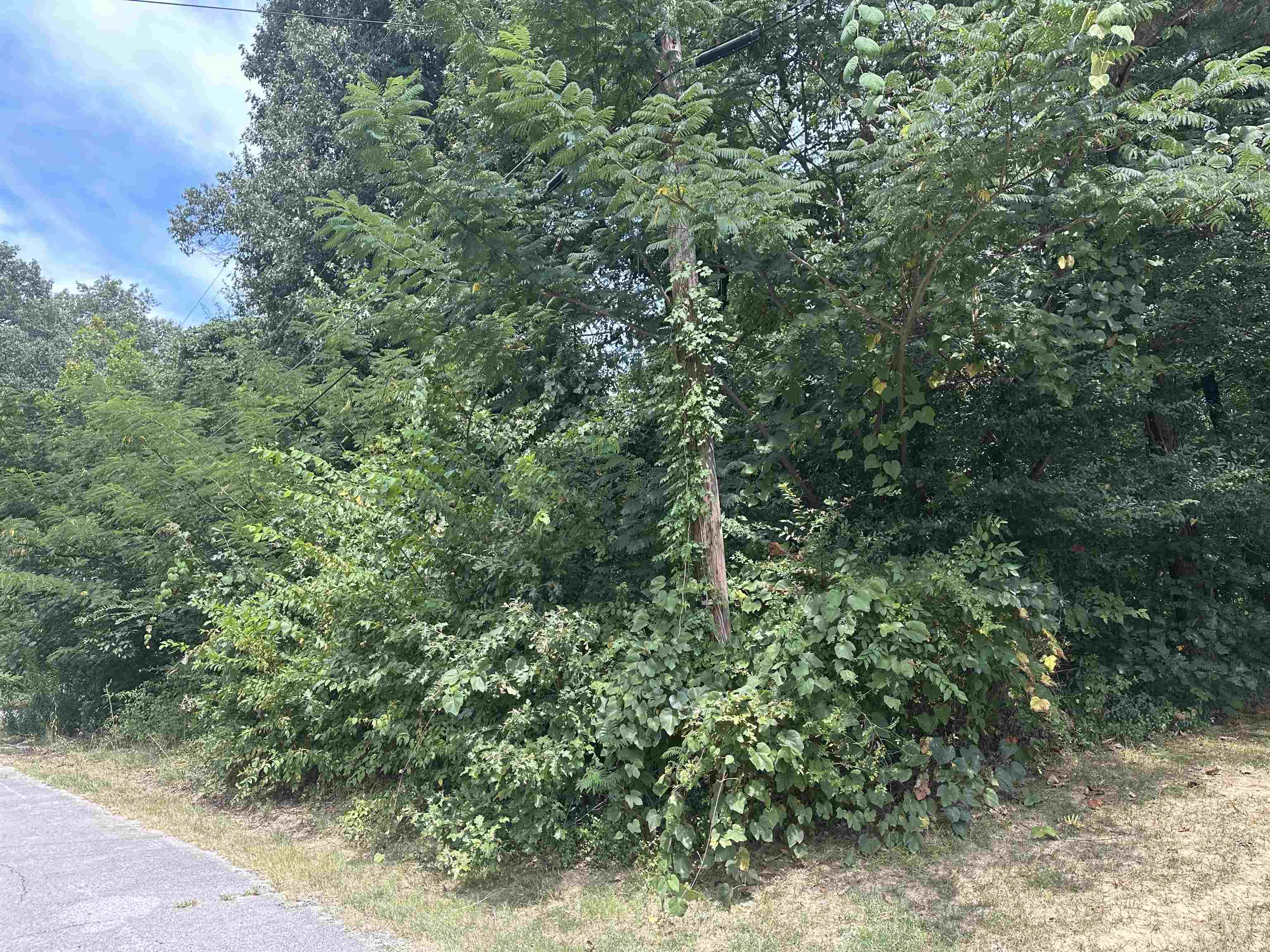 1362 S Blackison Cv Property Photo 3