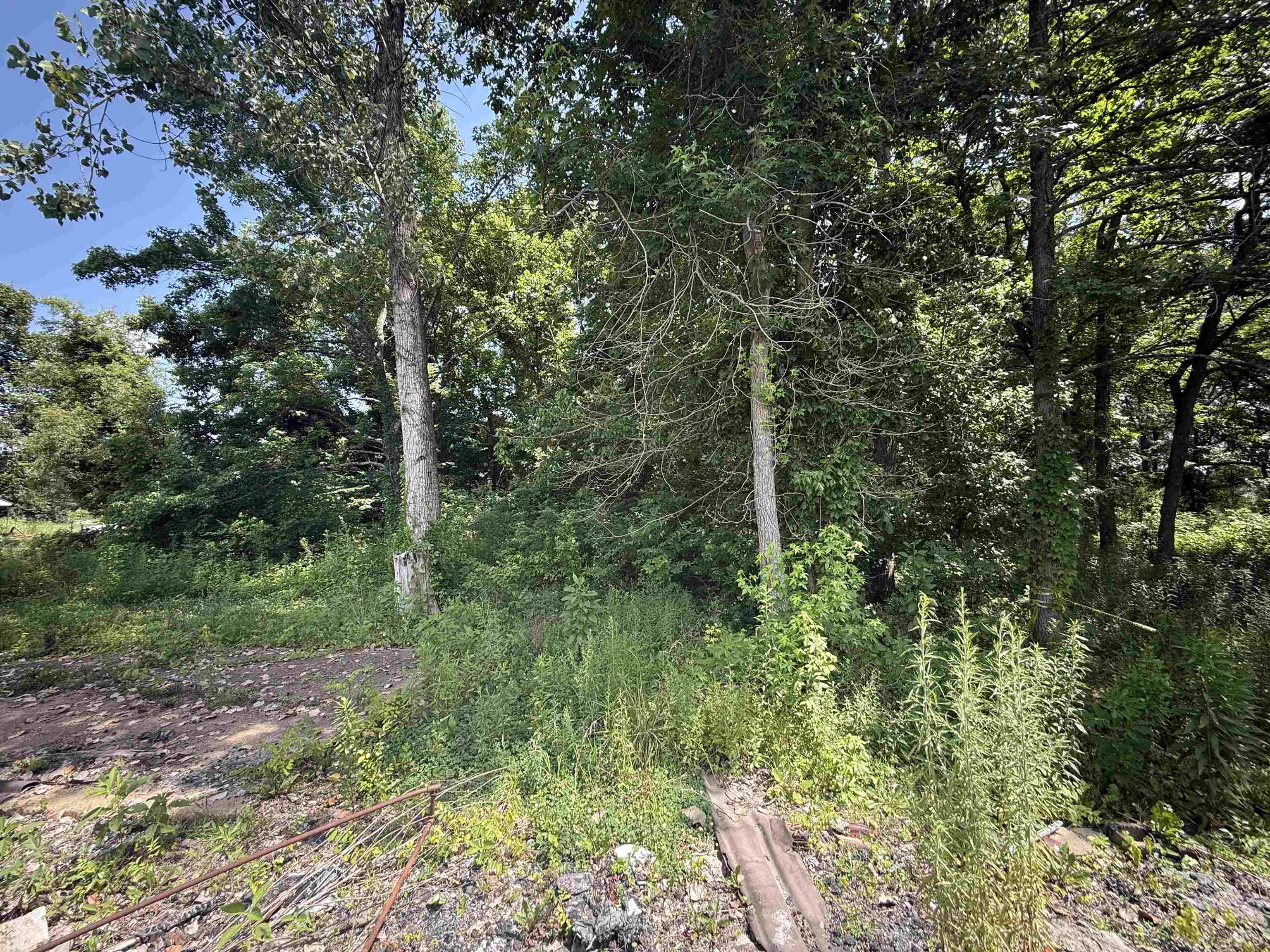 61 L & N St Property Photo 5