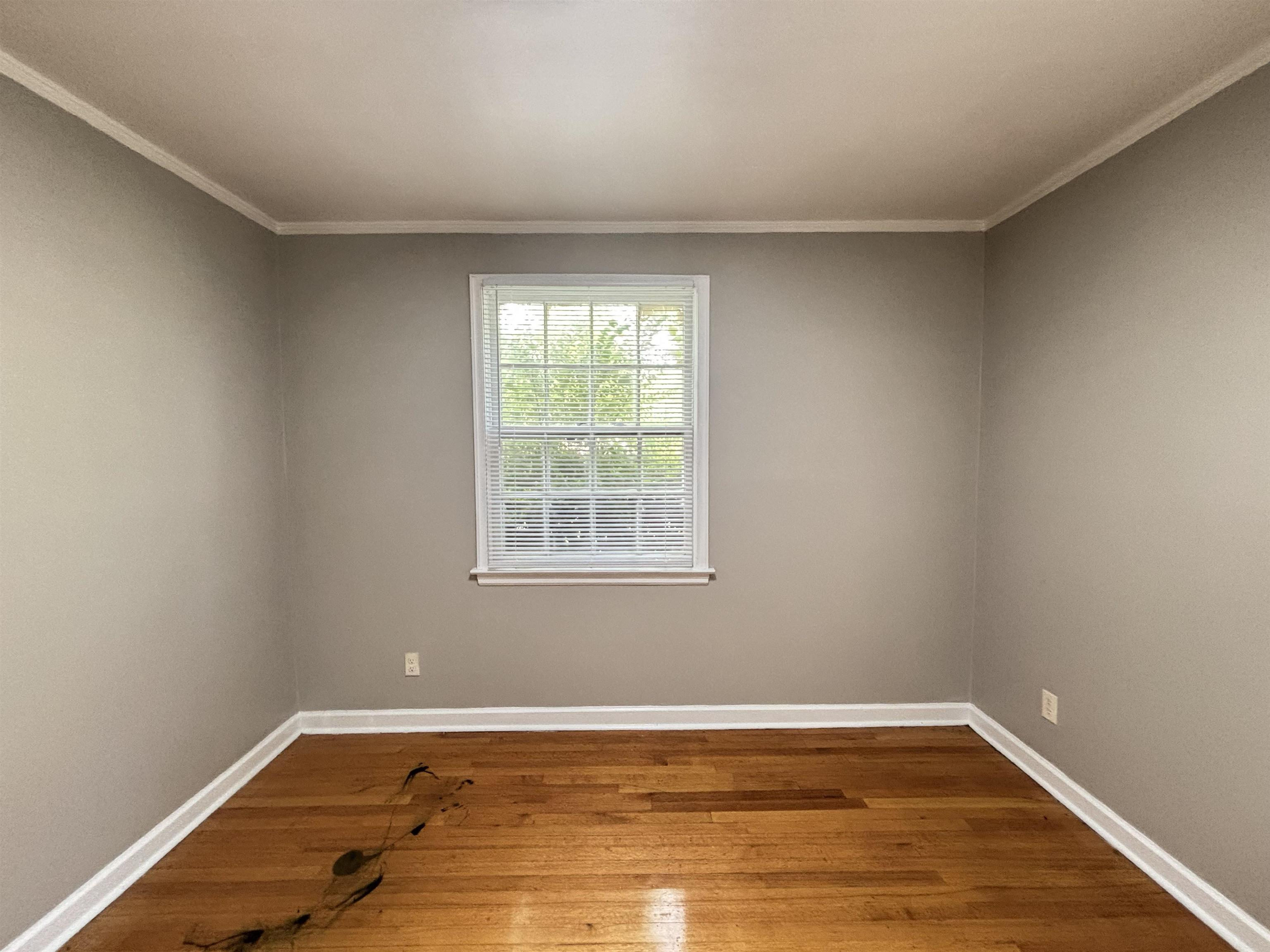 1065 Larry Ln Property Photo 12