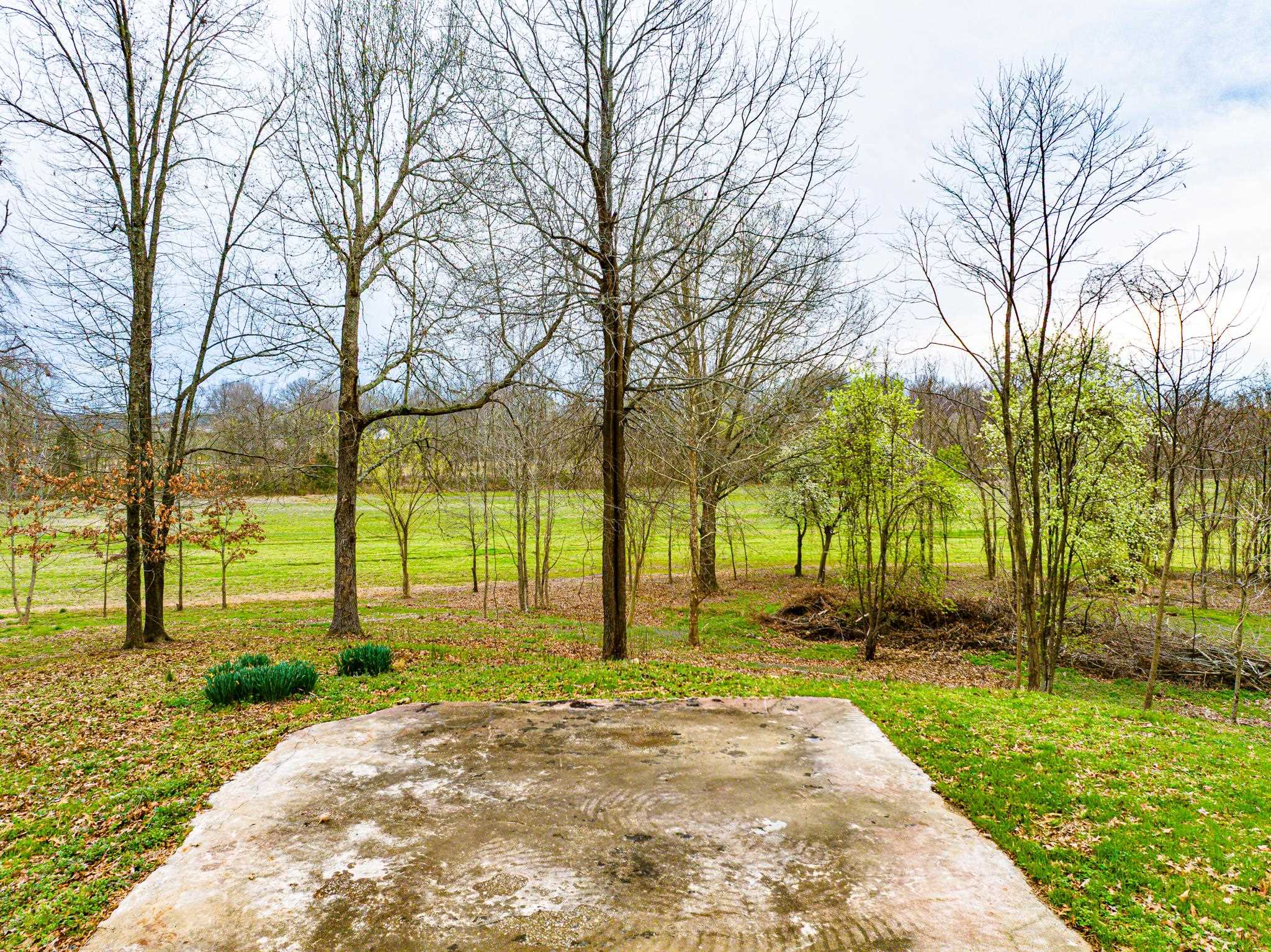 153 Harrison Rd Property Photo 20