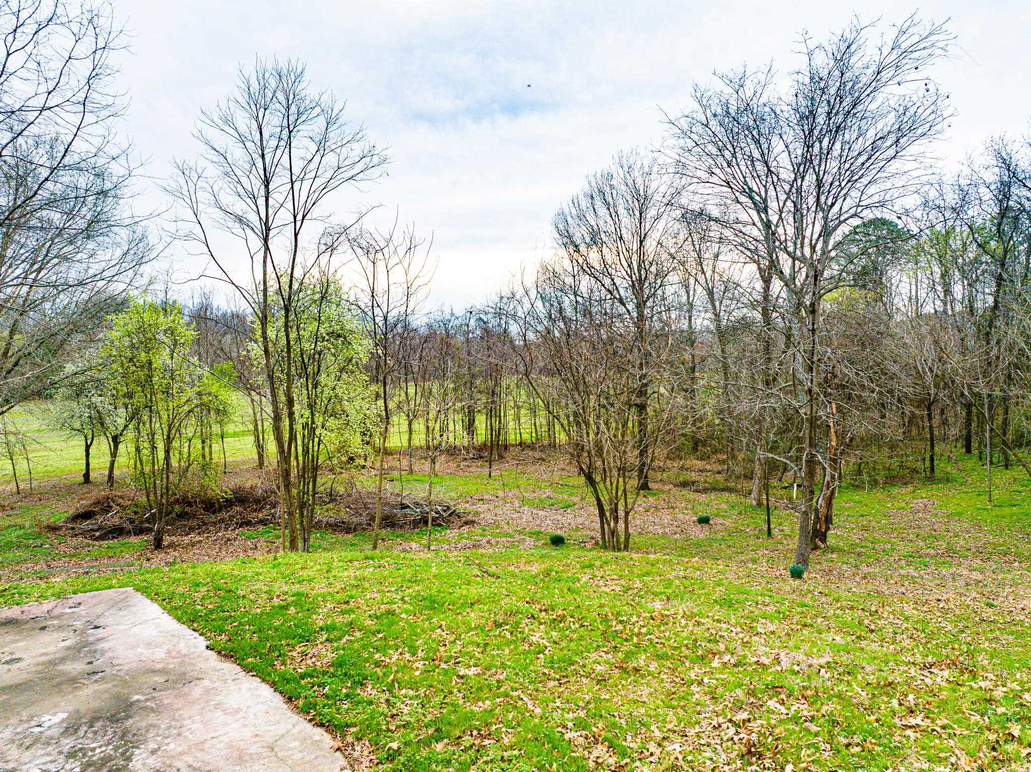 153 Harrison Rd Property Photo 21
