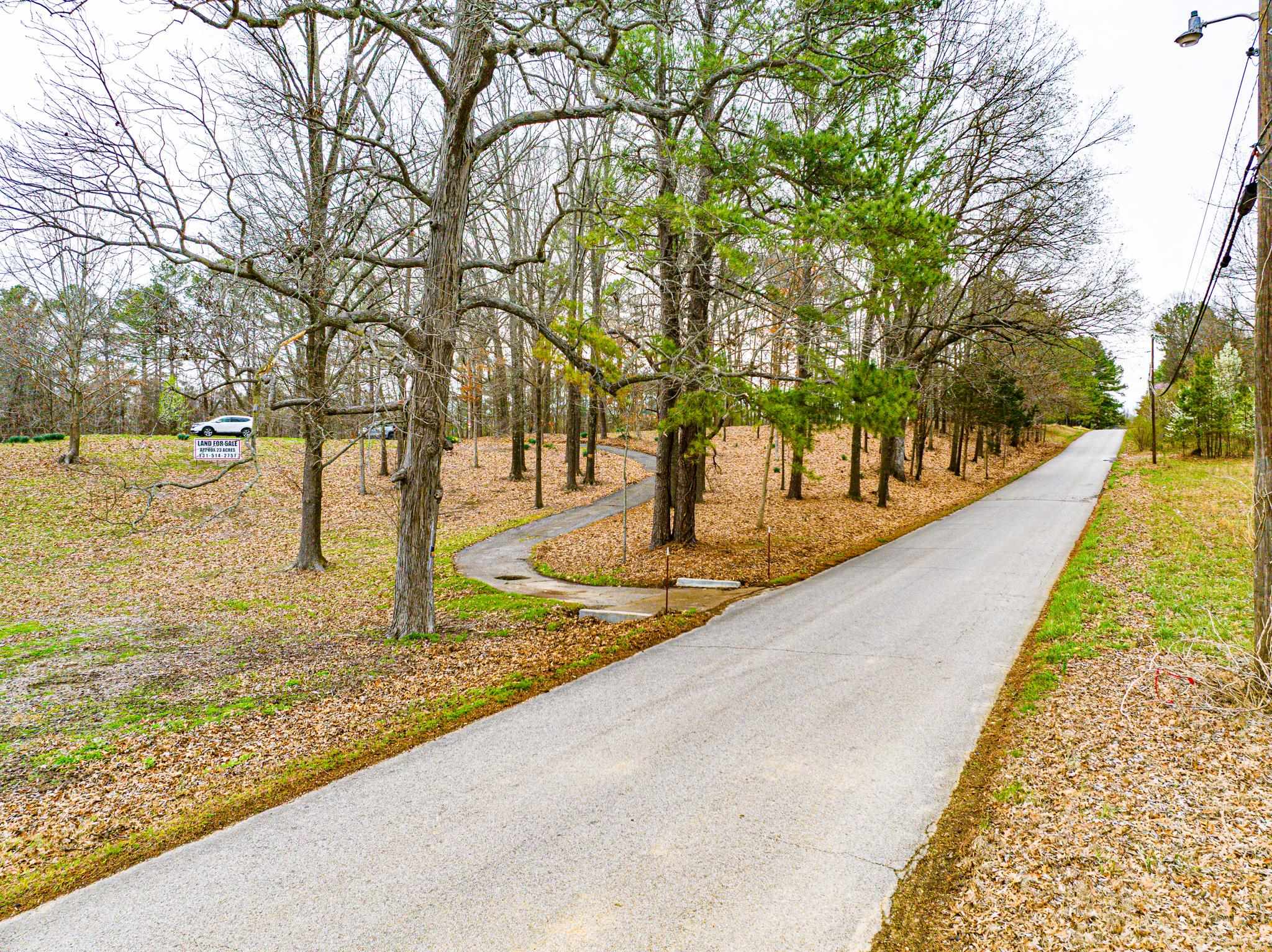 153 Harrison Rd Property Photo 22