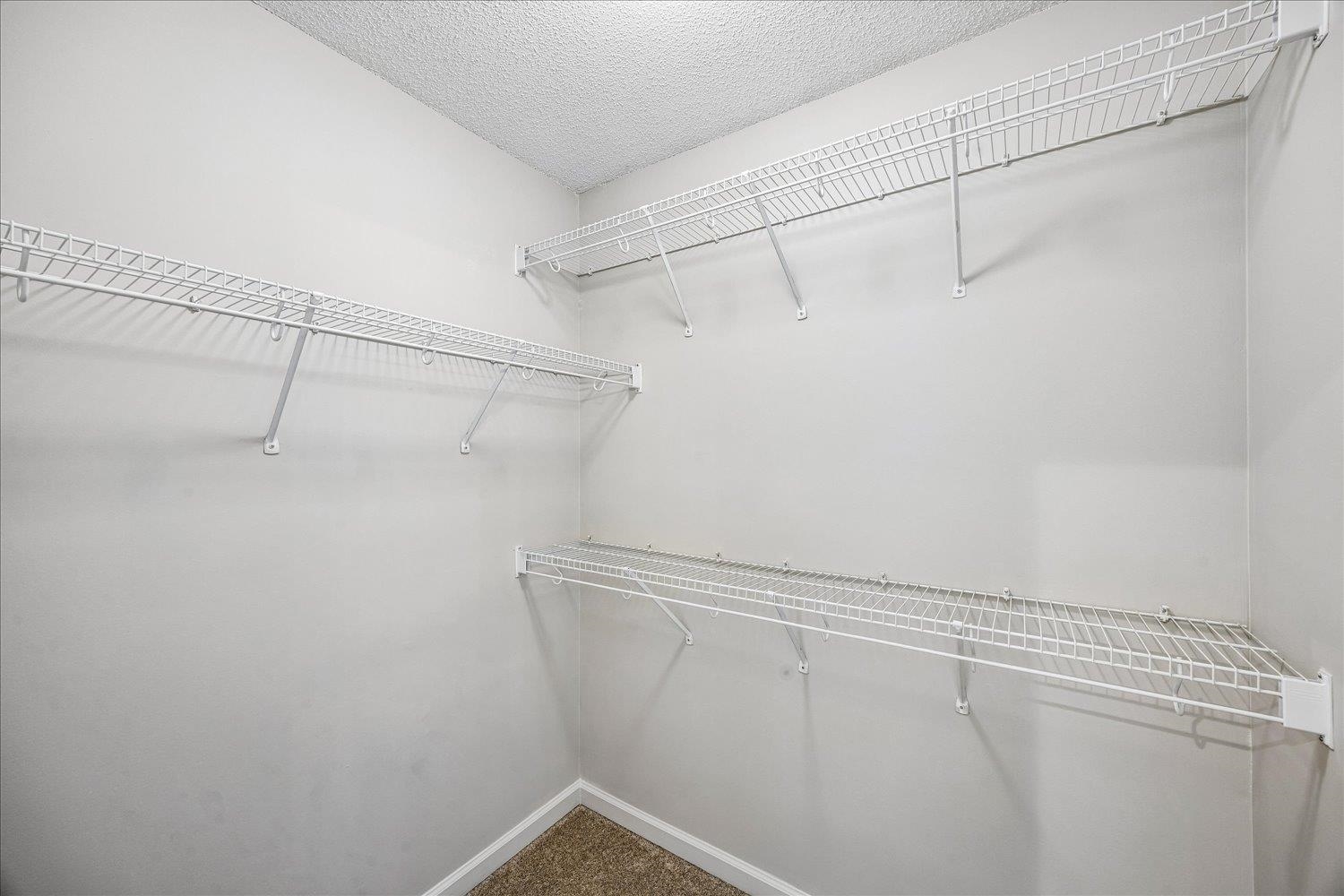 2724 Green Turtle Trl Property Photo 17