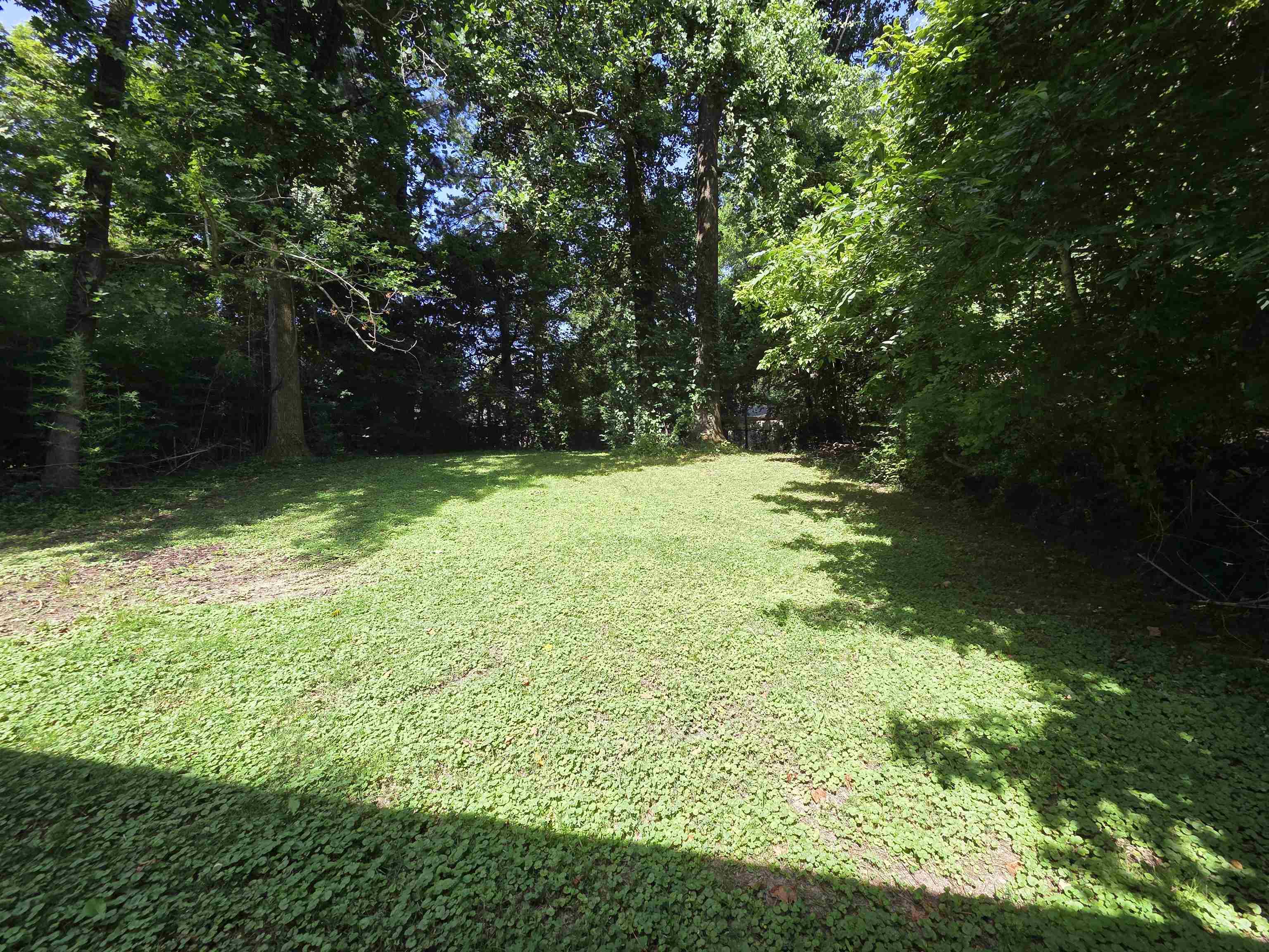 3545 Debby Dr Property Photo 5