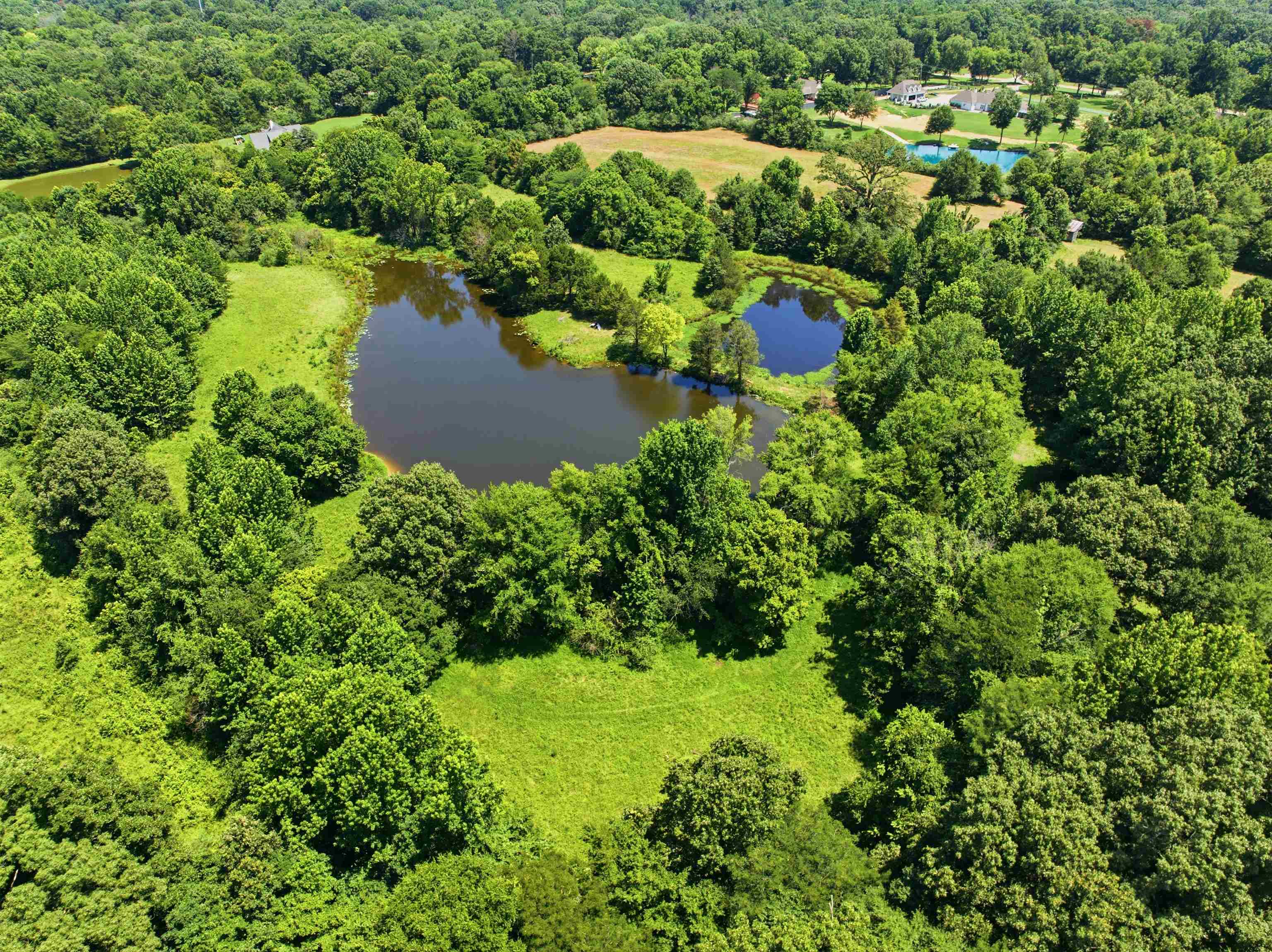 1370 Reid Hooker Rd N Property Photo 9