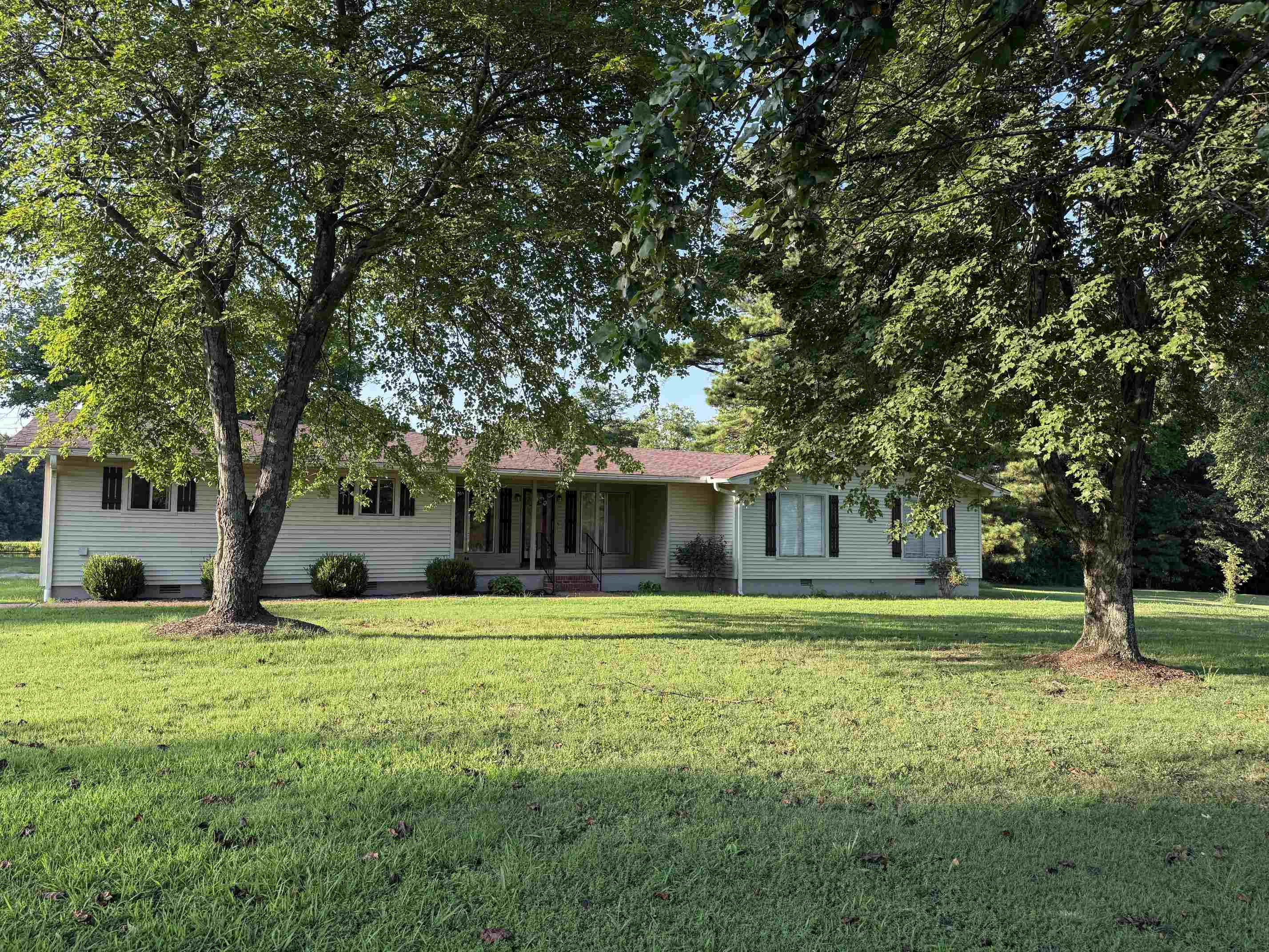 1384 Murphy Ave Property Photo 3