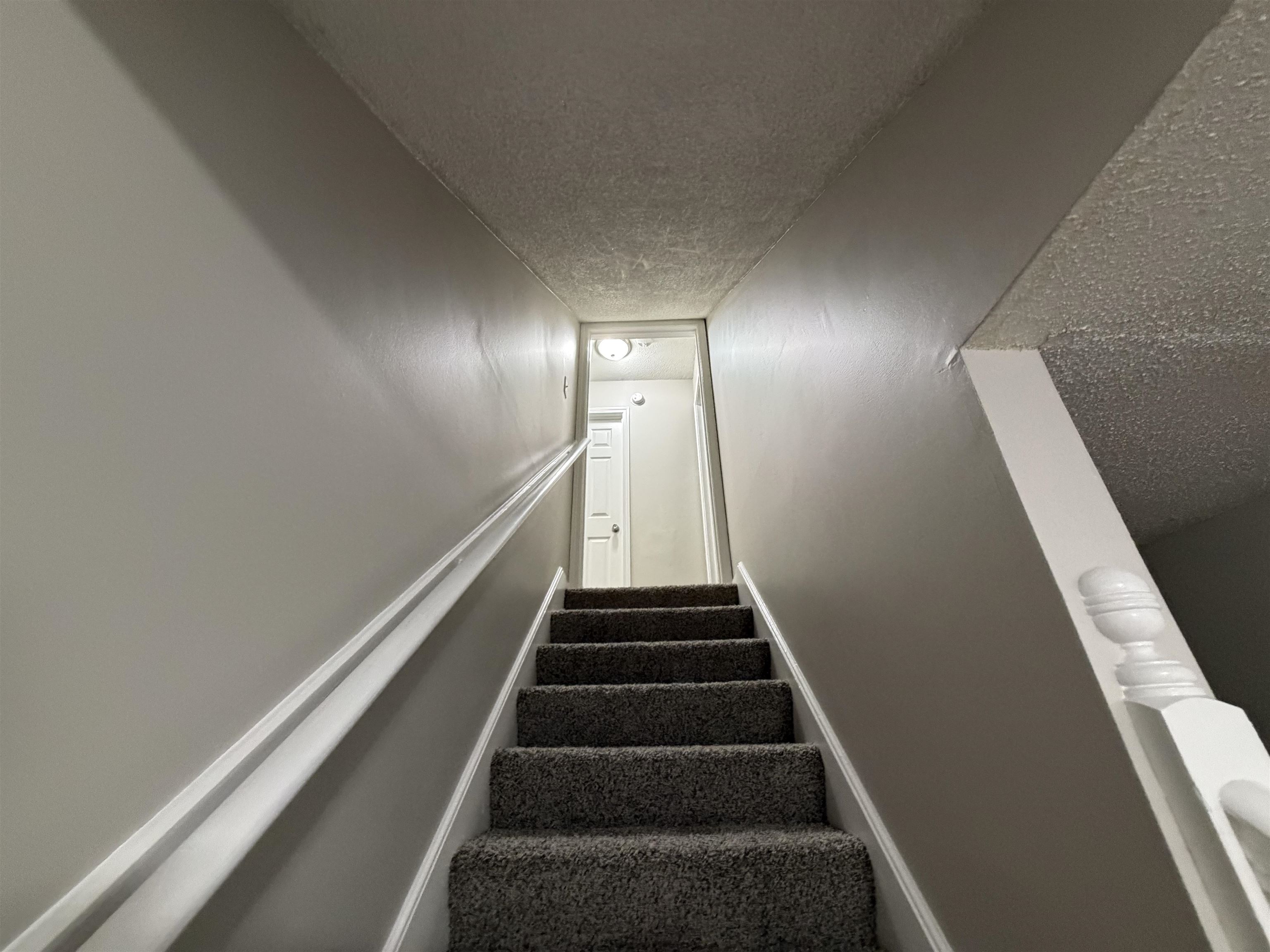 2826 Lanthorn Dr Property Photo 3