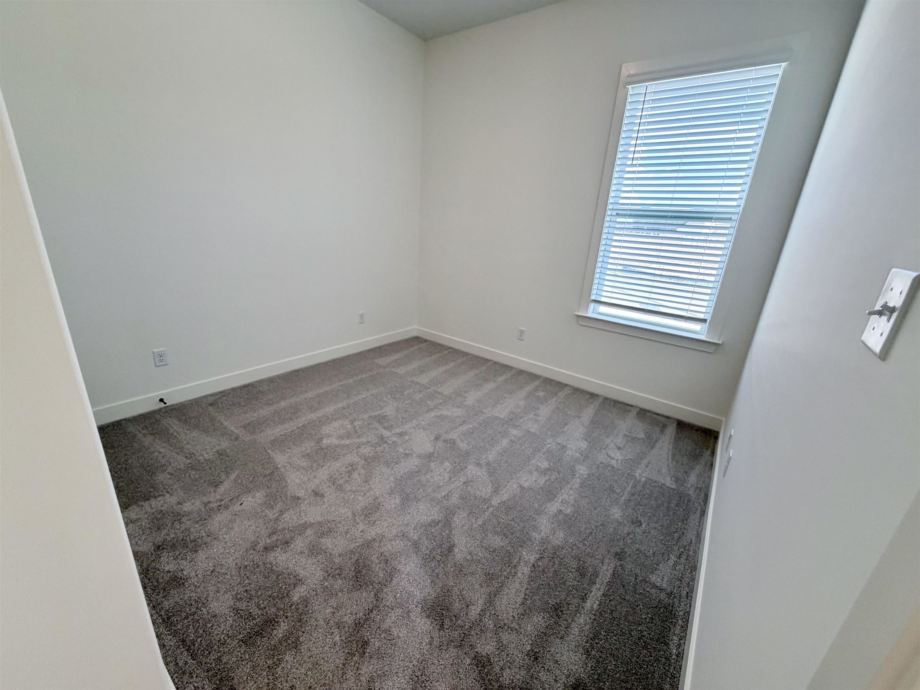 10260 Louanne Dr Property Photo 19