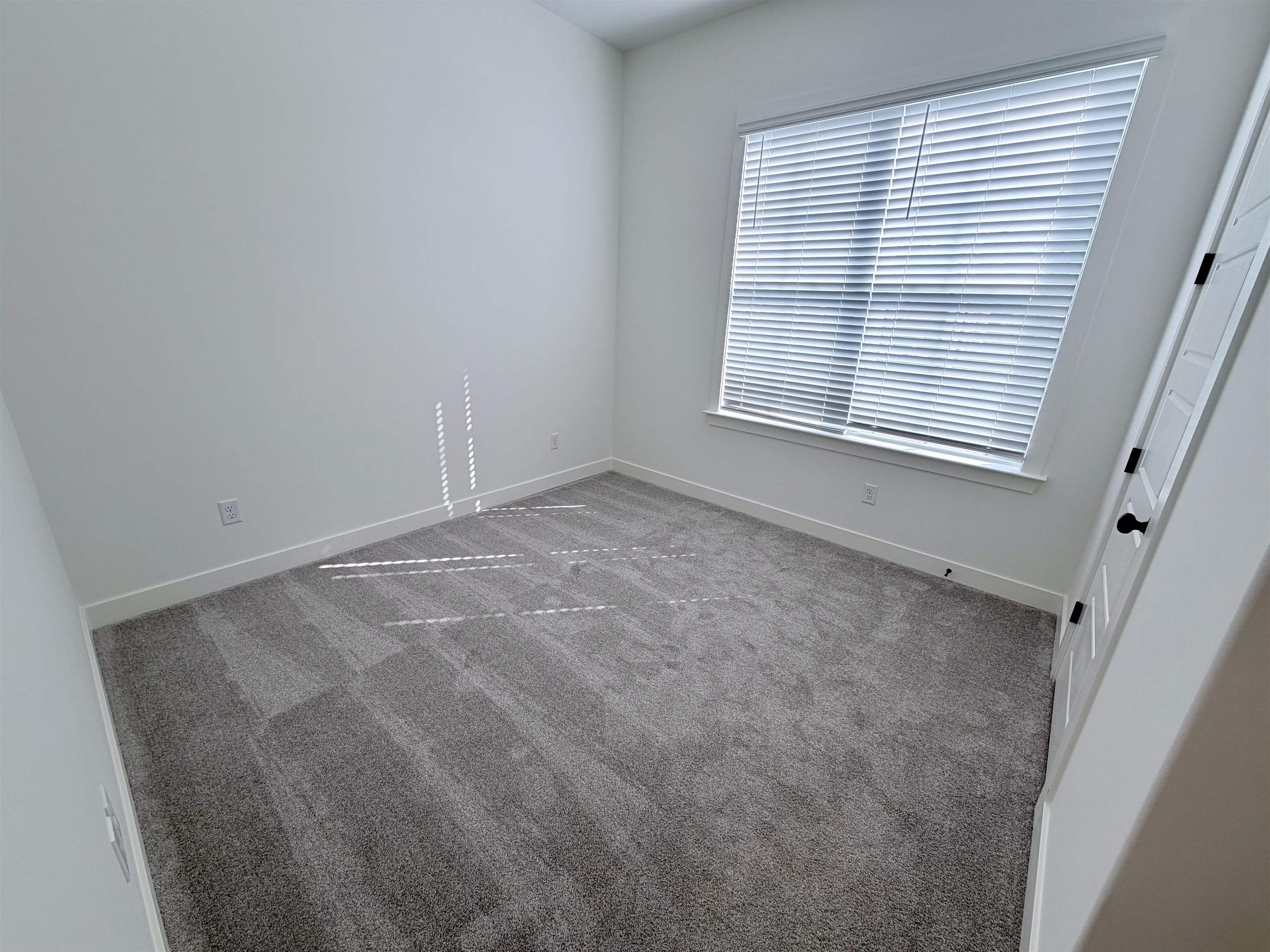 10260 Louanne Dr Property Photo 21