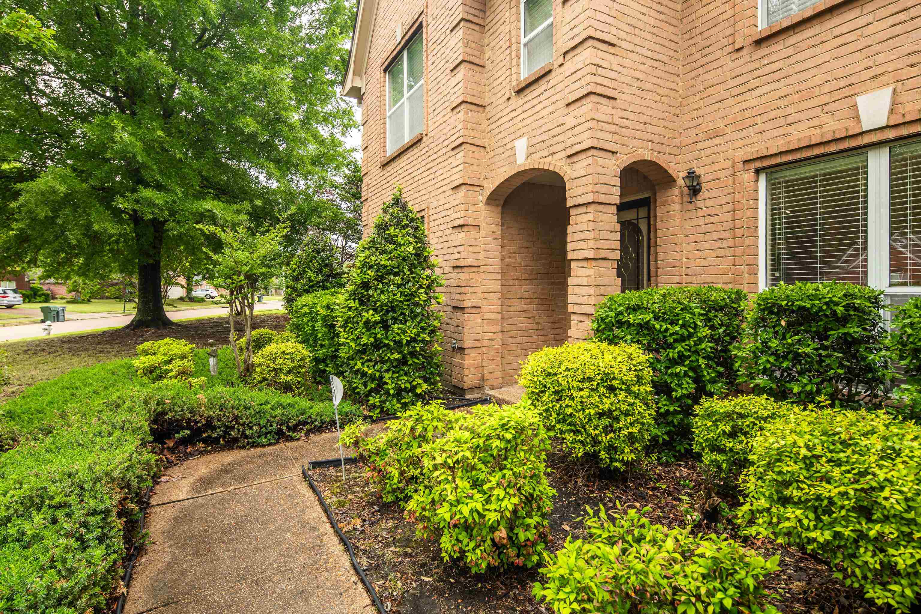 3446 Wolf Spring Ln Property Photo 3