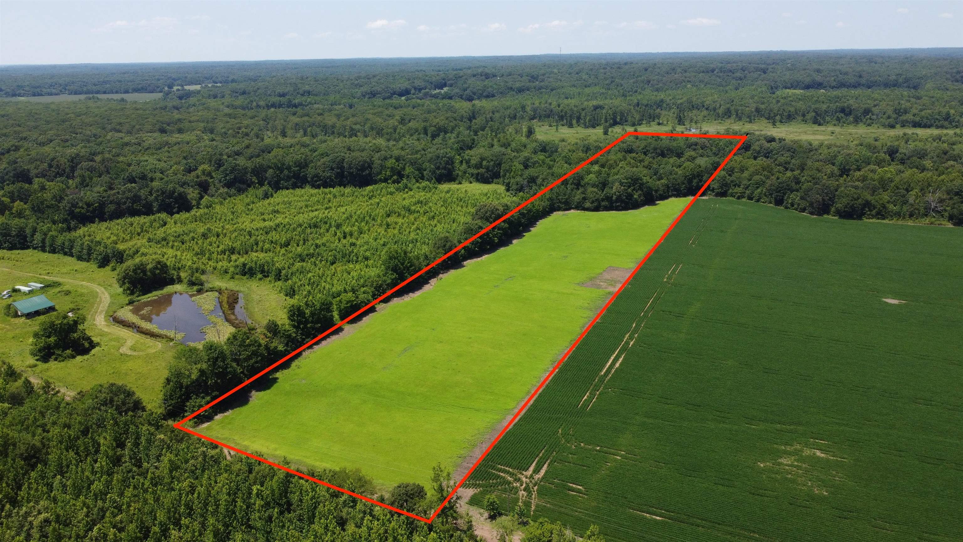 20 Acres Liberty Rd Property Photo 1