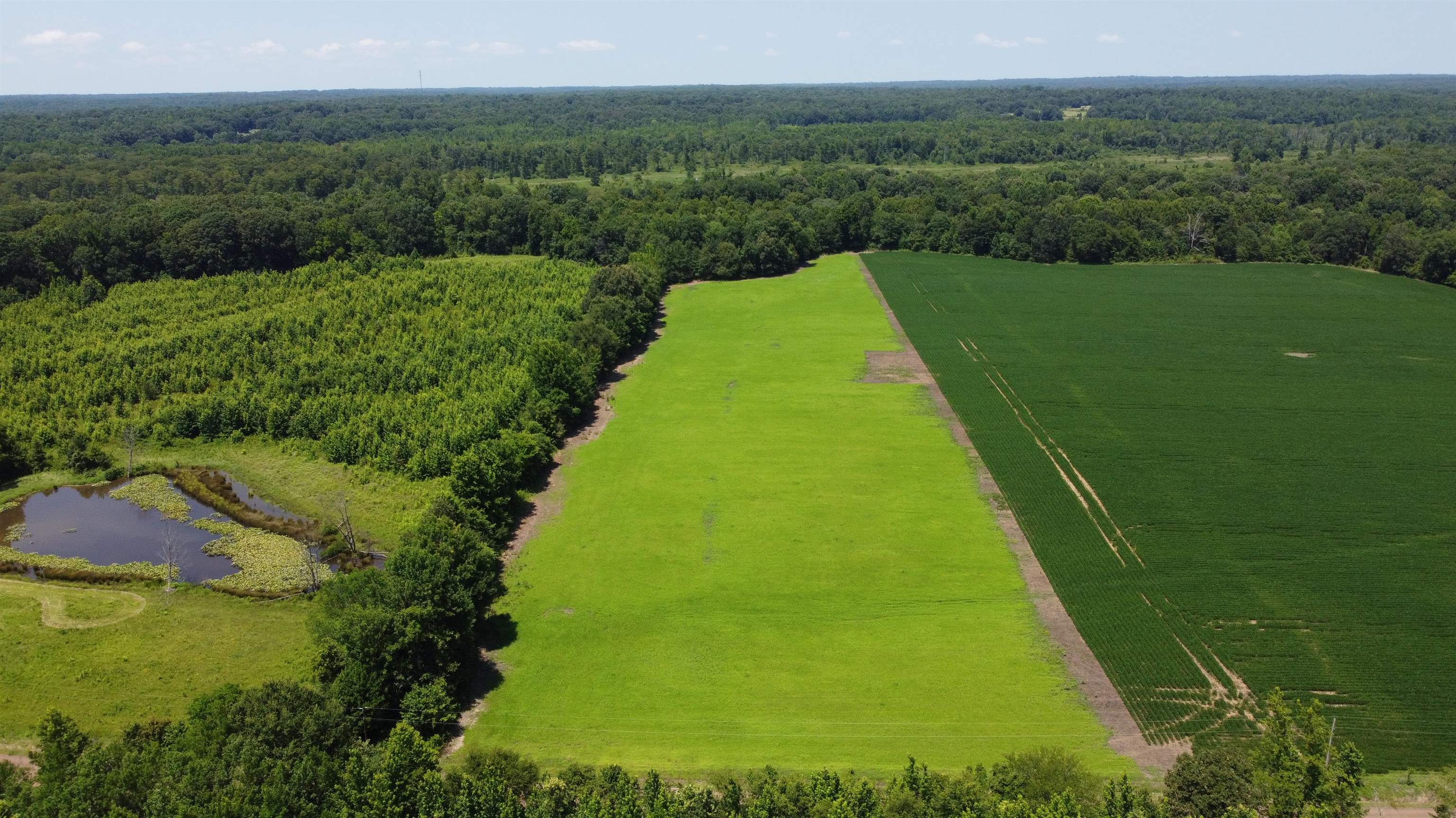 20 Acres Liberty Rd Property Photo 2