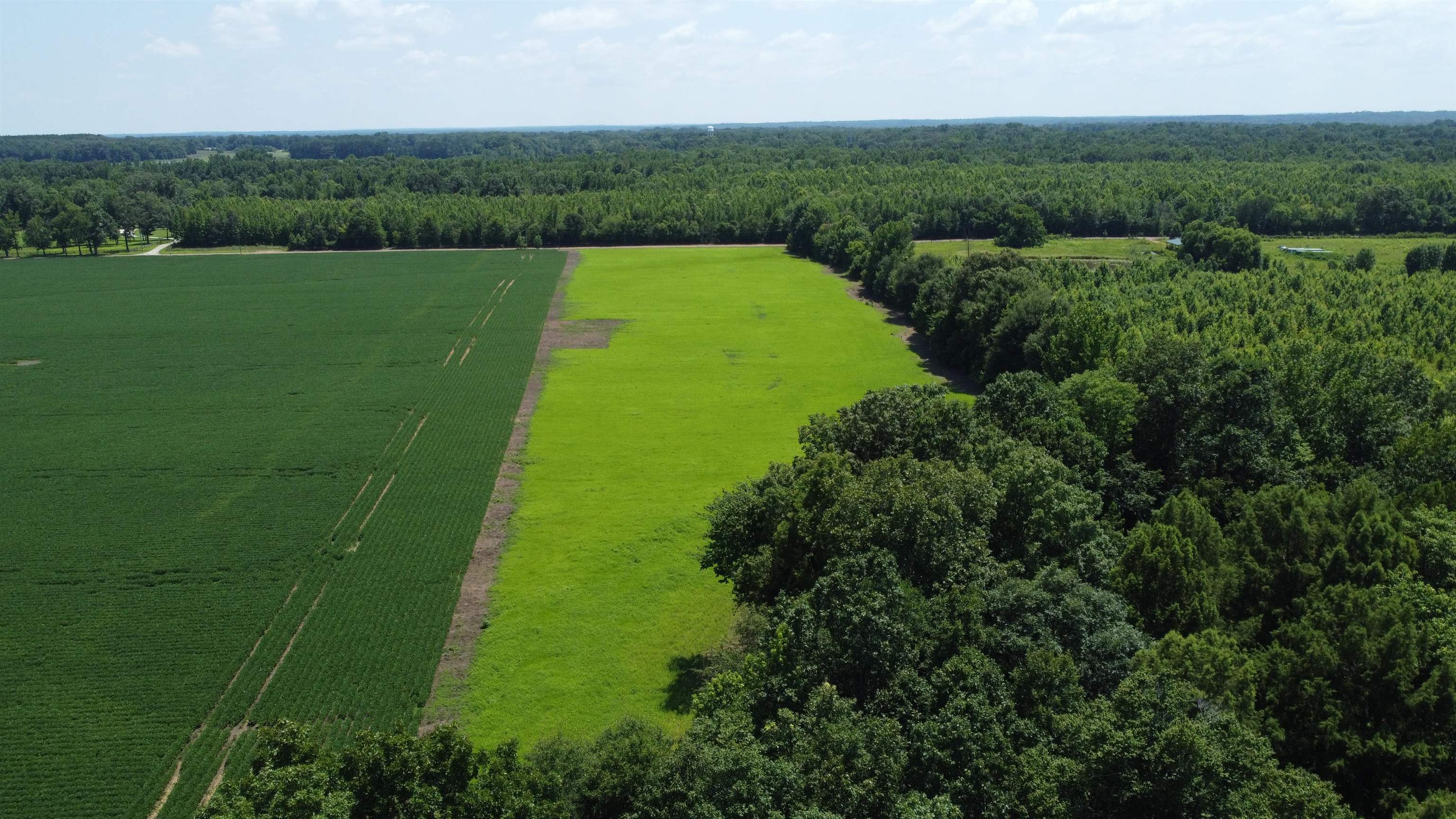 20 Acres Liberty Rd Property Photo 3