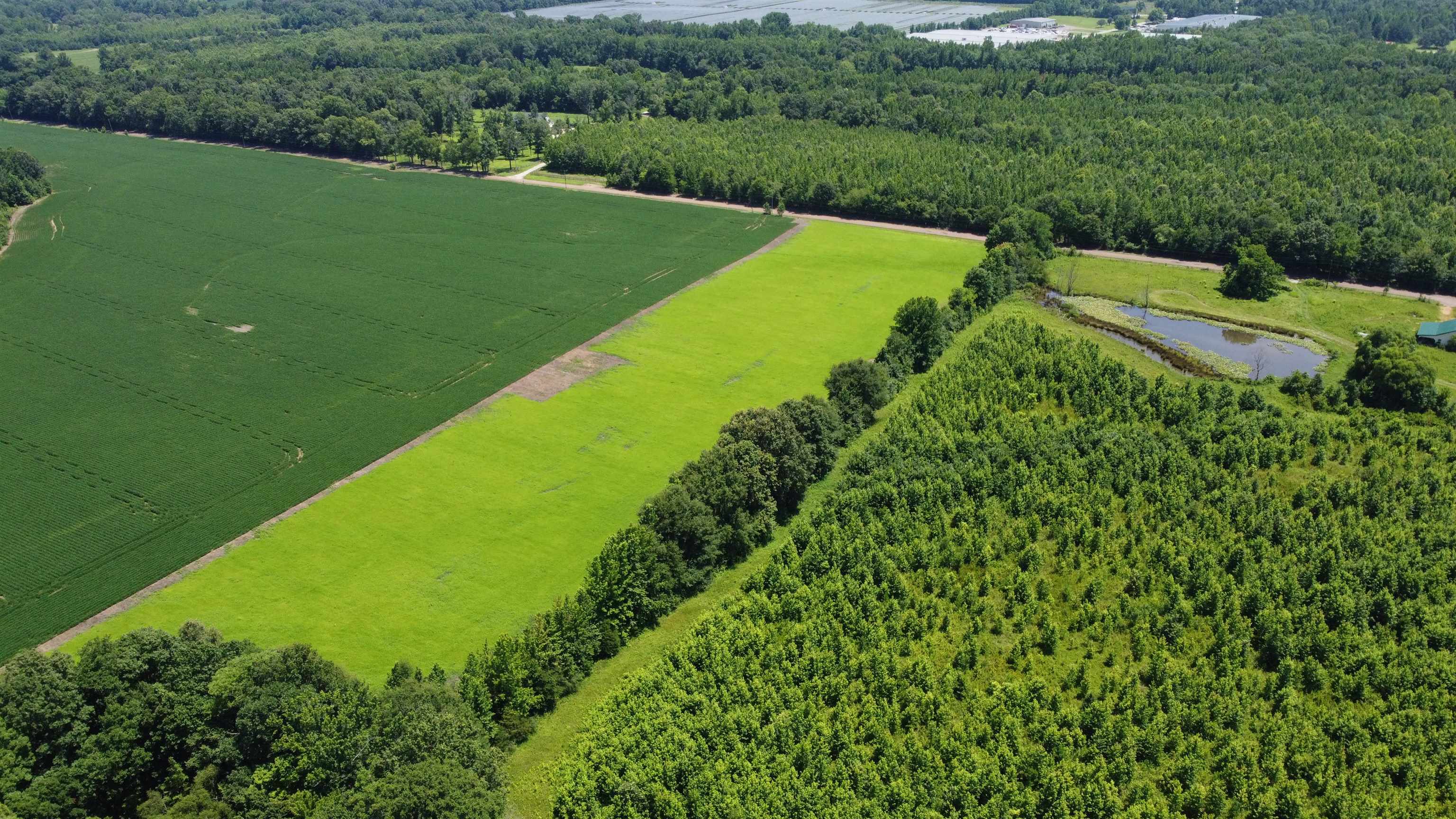 20 Acres Liberty Rd Property Photo 4