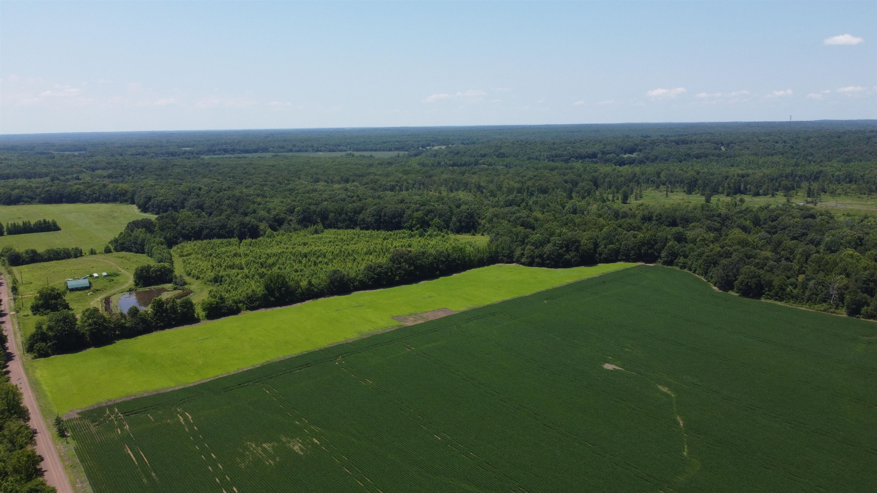 20 Acres Liberty Rd Property Photo 5
