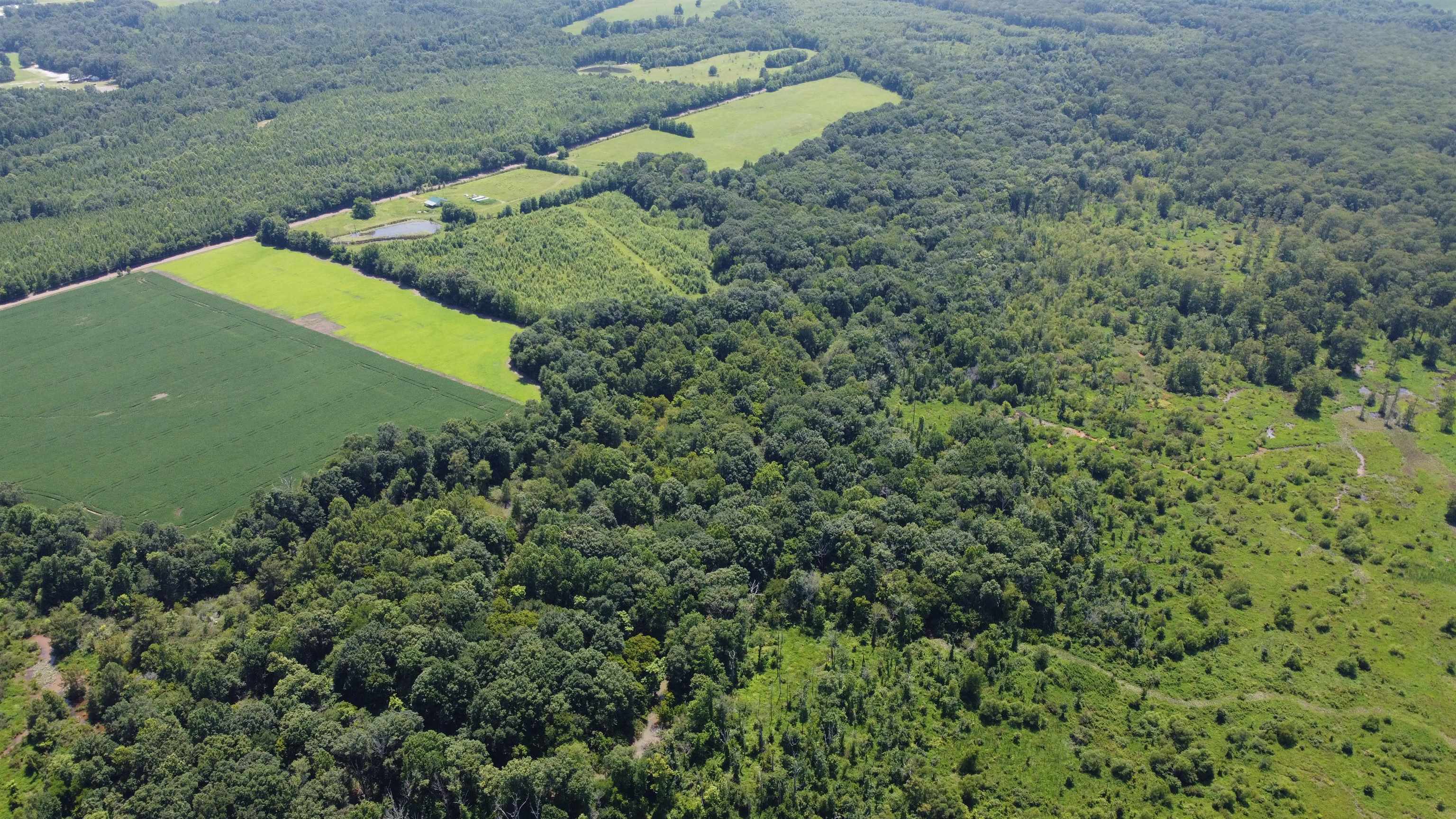 20 Acres Liberty Rd Property Photo 6