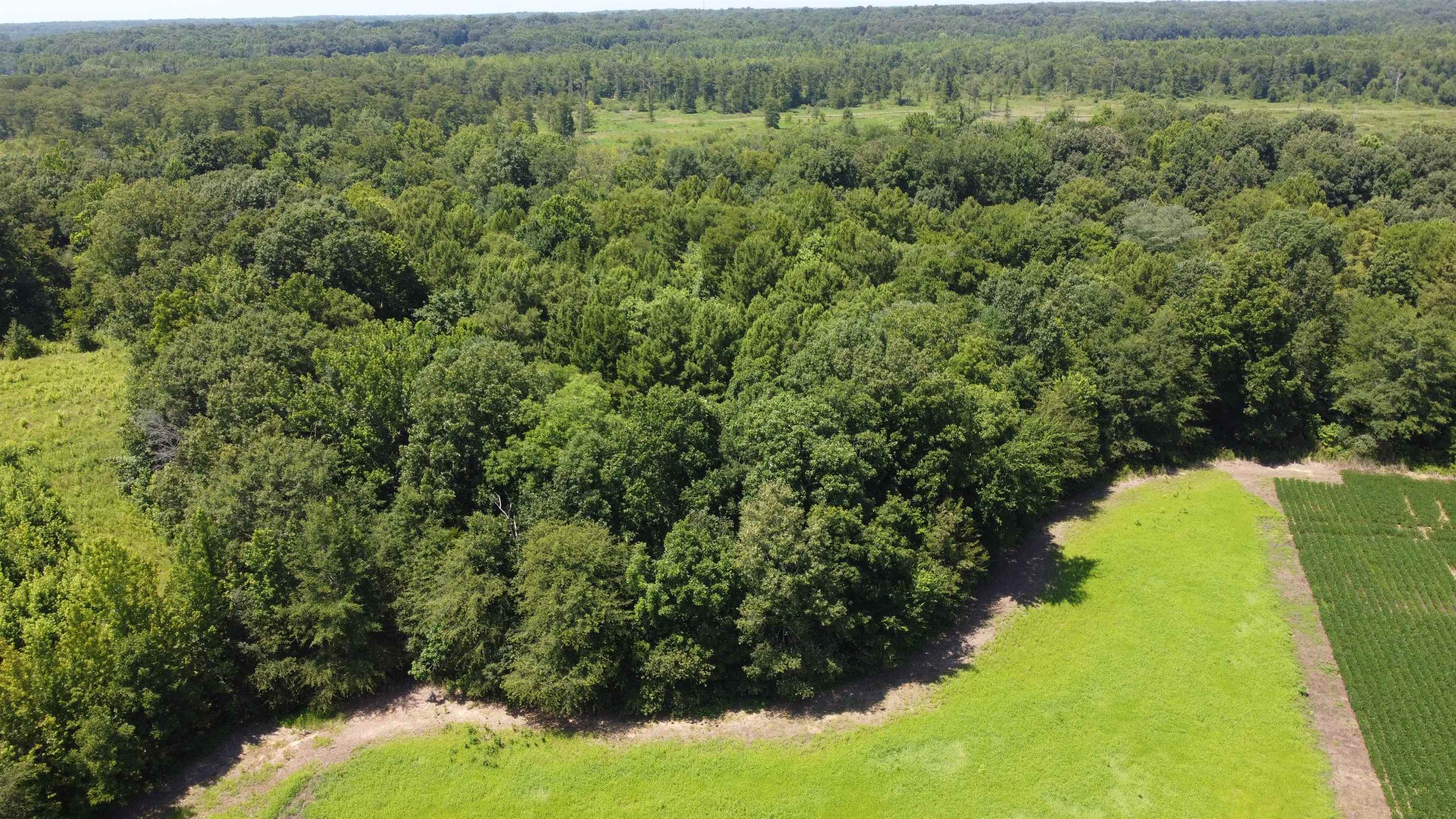 20 Acres Liberty Rd Property Photo 7
