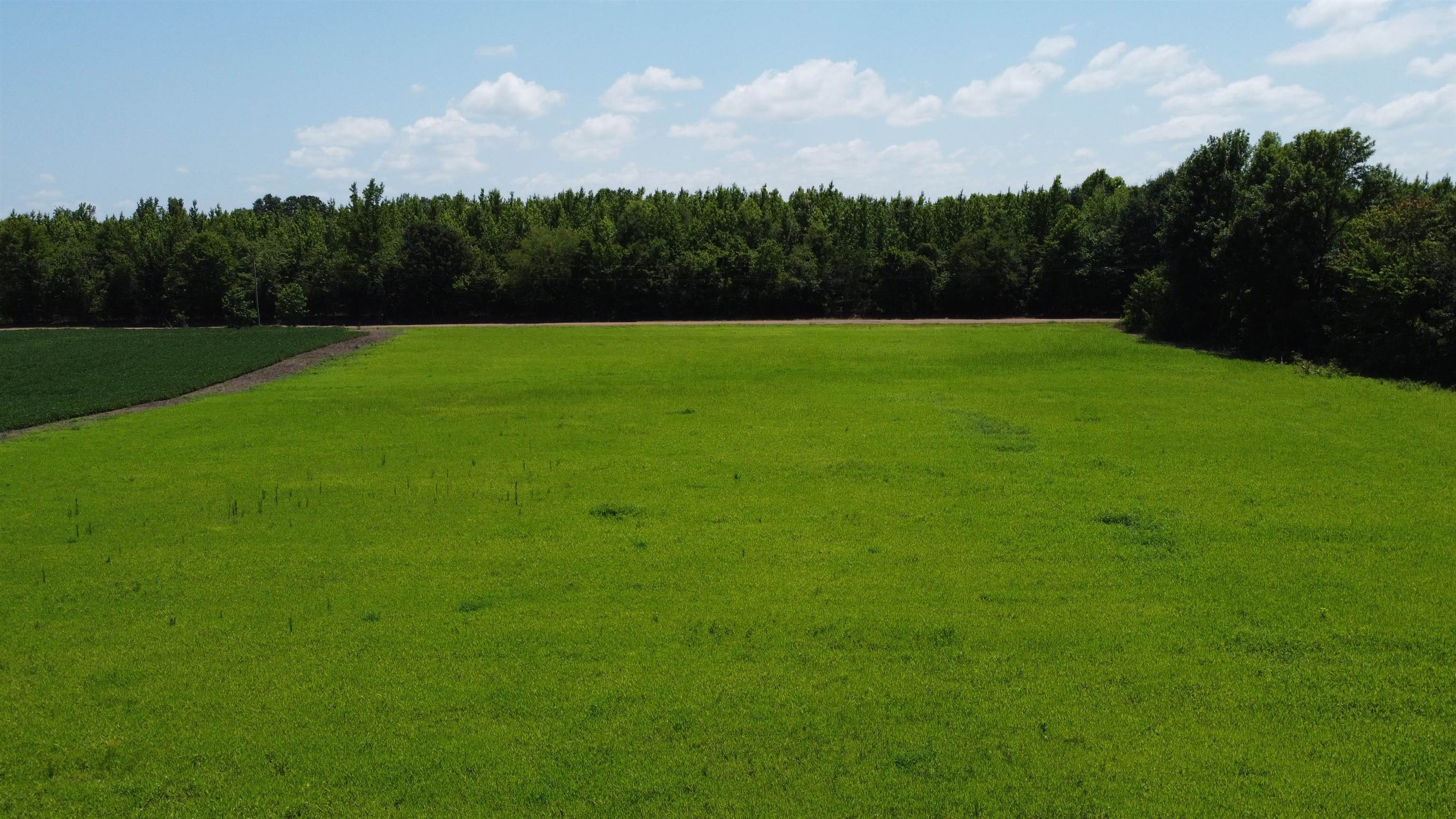 20 Acres Liberty Rd Property Photo 8