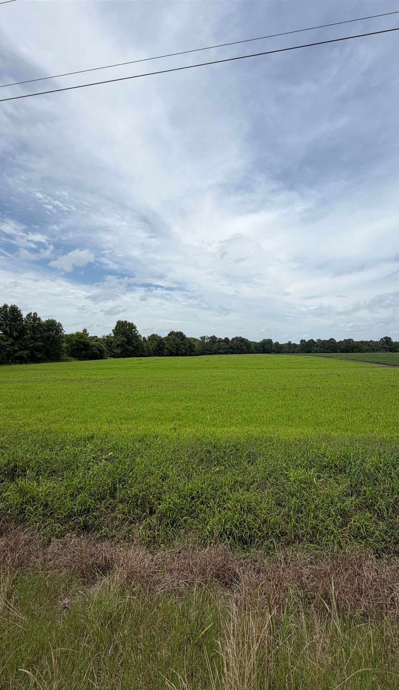 20 Acres Liberty Rd Property Photo 9