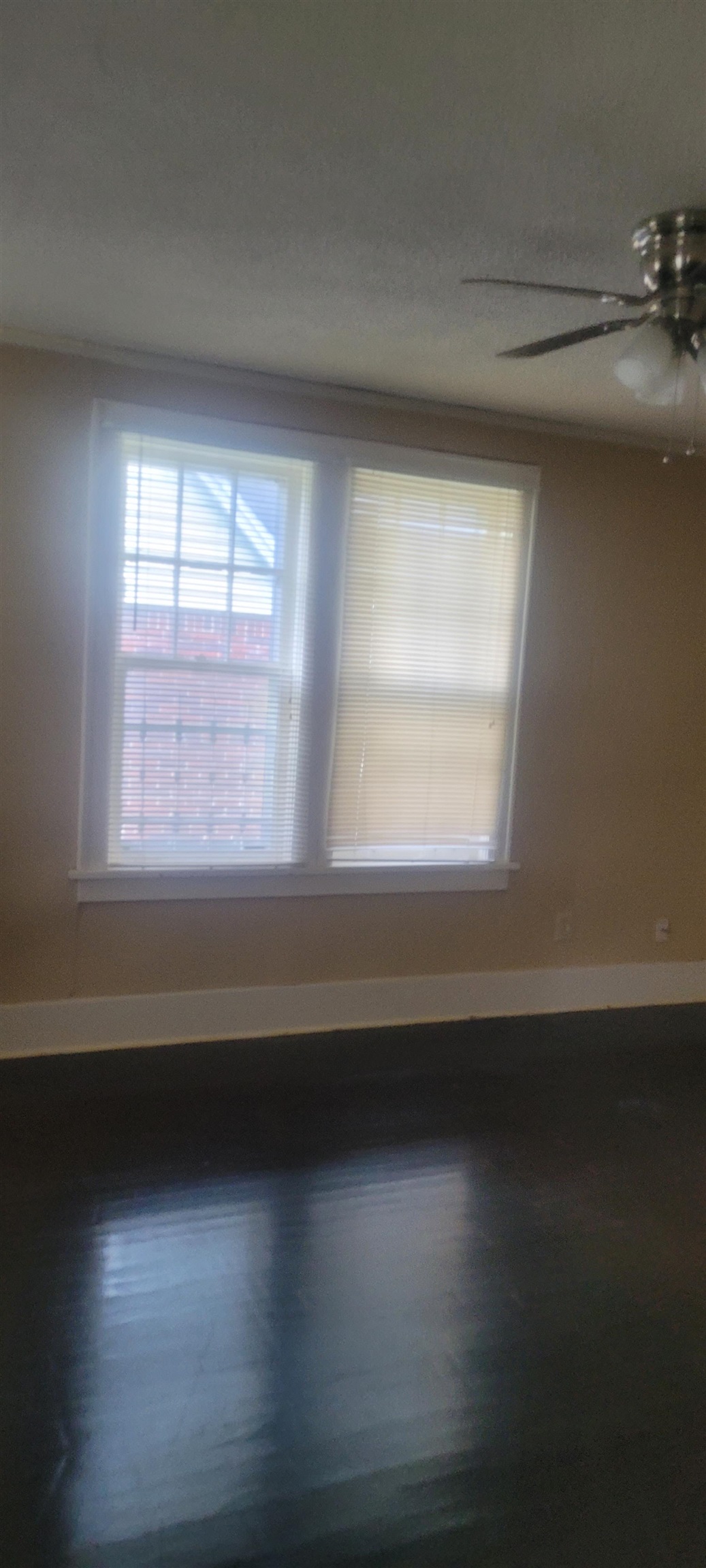 864 Dickinson St Property Photo 5