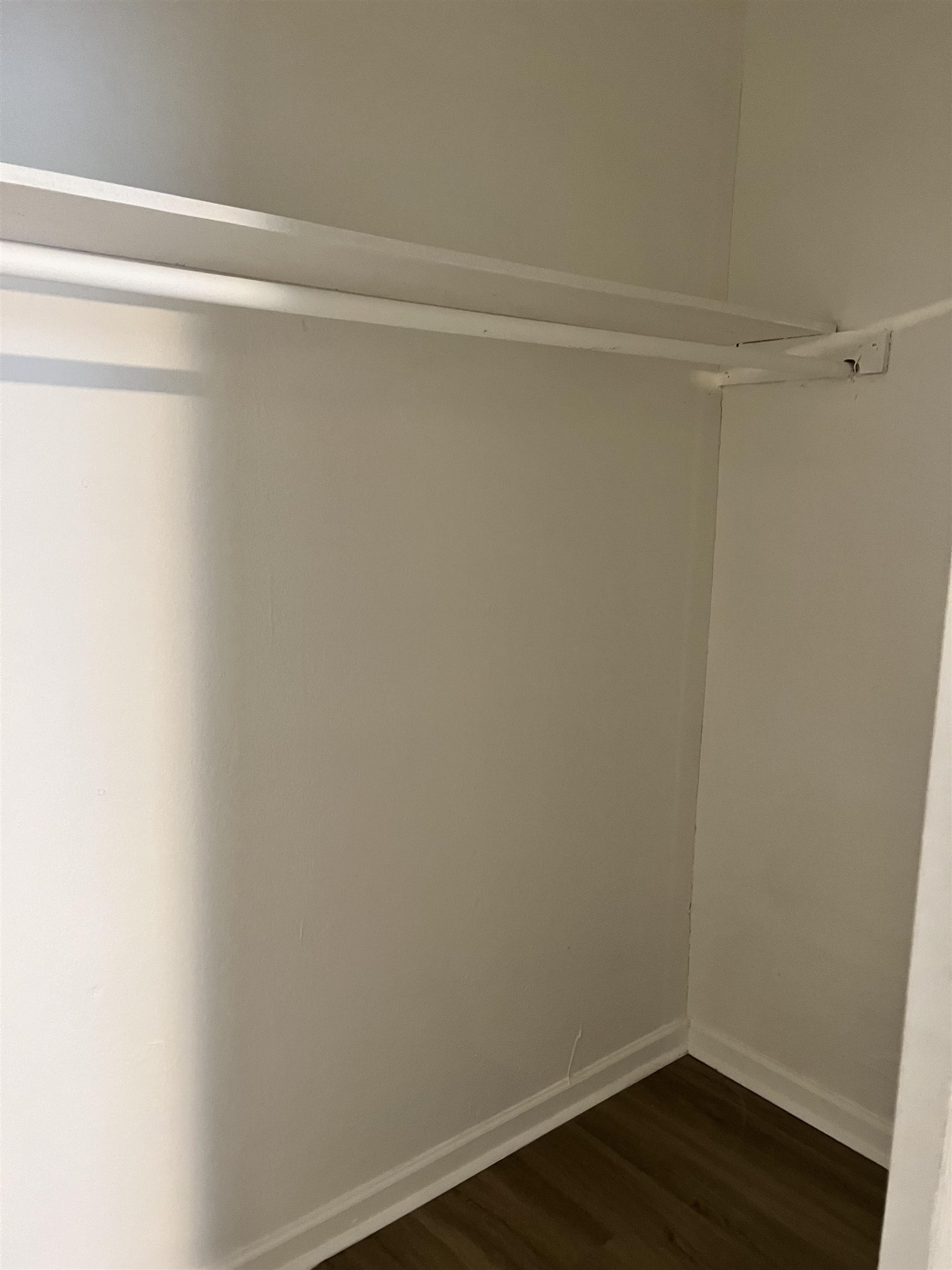 1452 Castalia St Property Photo 21