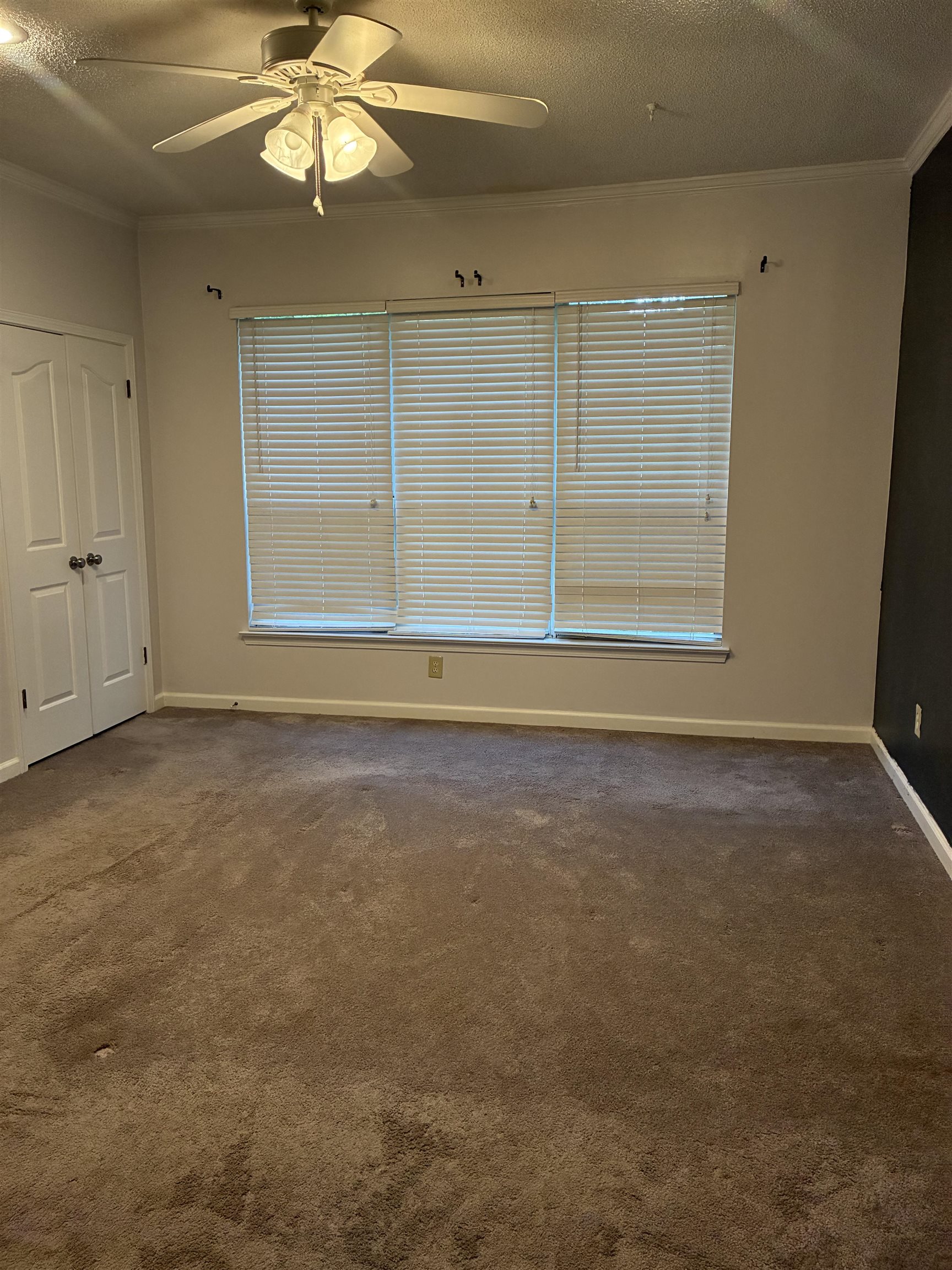 8189 Walnut Valley Cv Property Photo 10