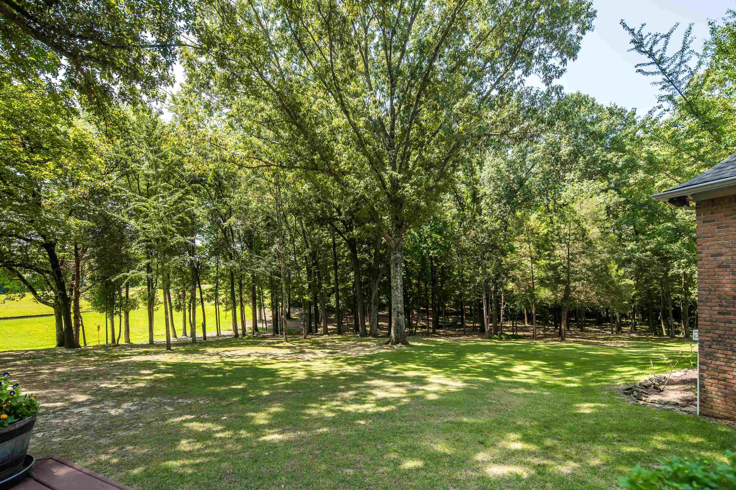 10575 Plantation Woods Dr Property Photo 37