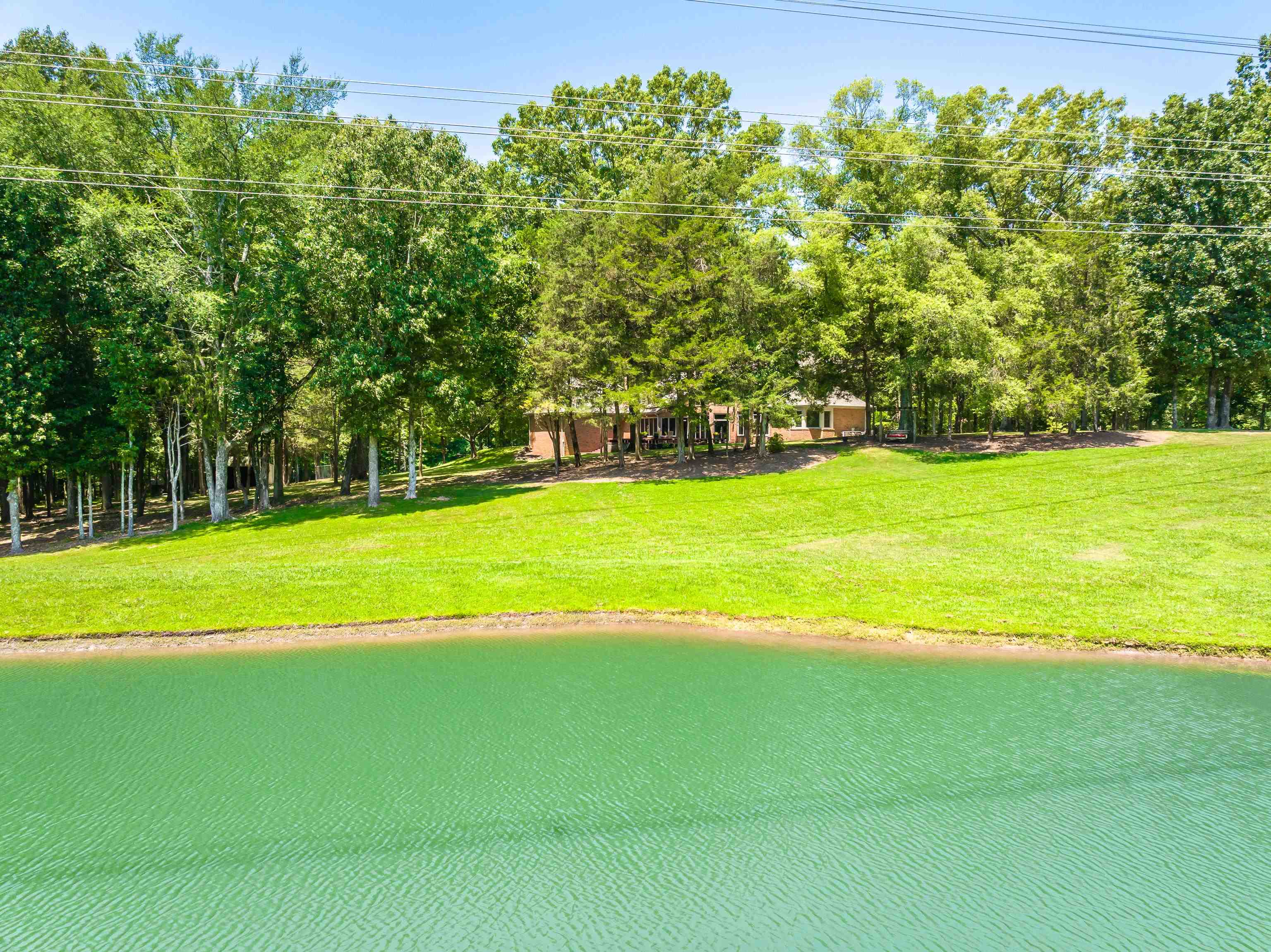 10575 Plantation Woods Dr Property Photo 38