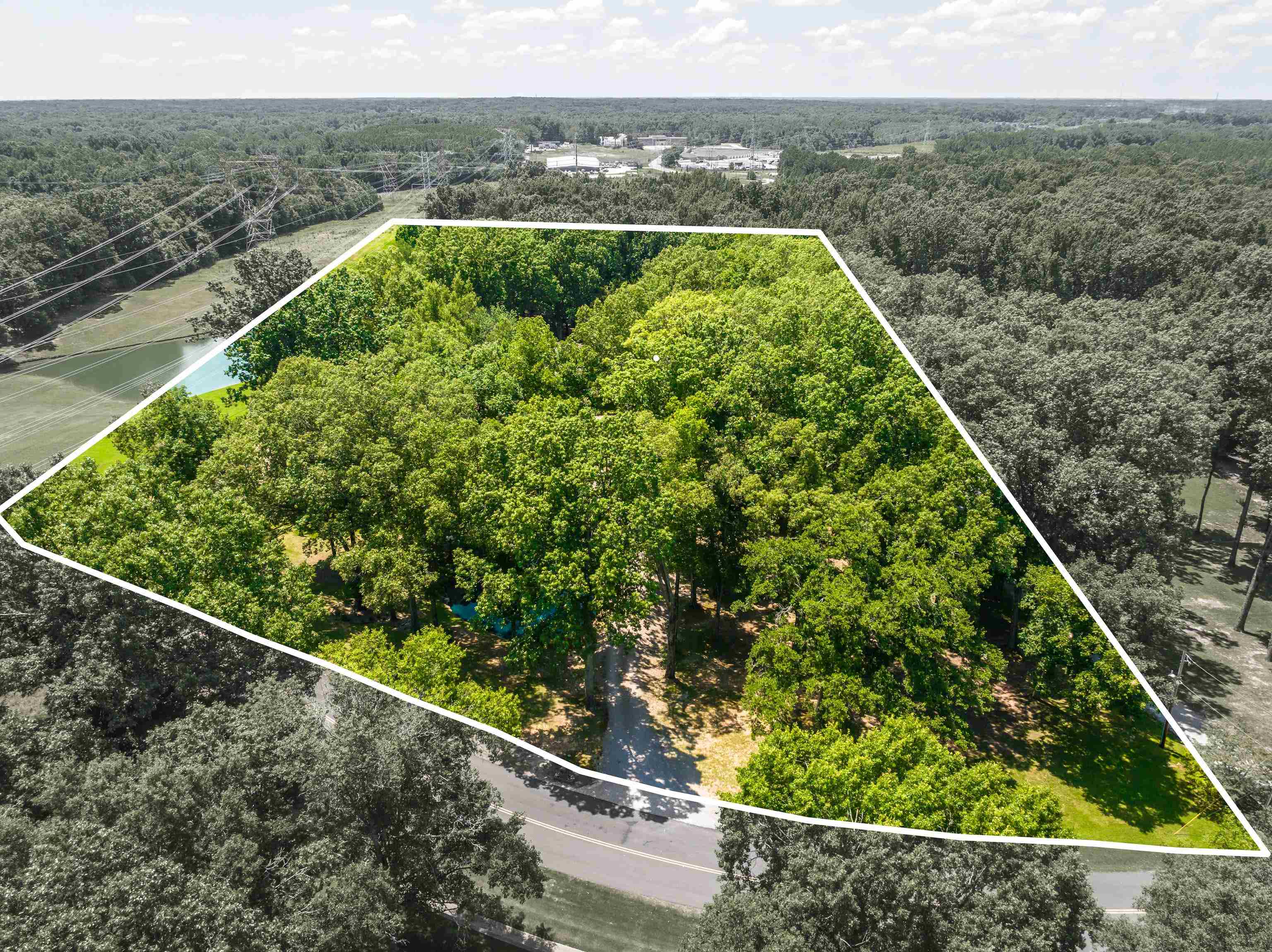 10575 Plantation Woods Dr Property Photo 40