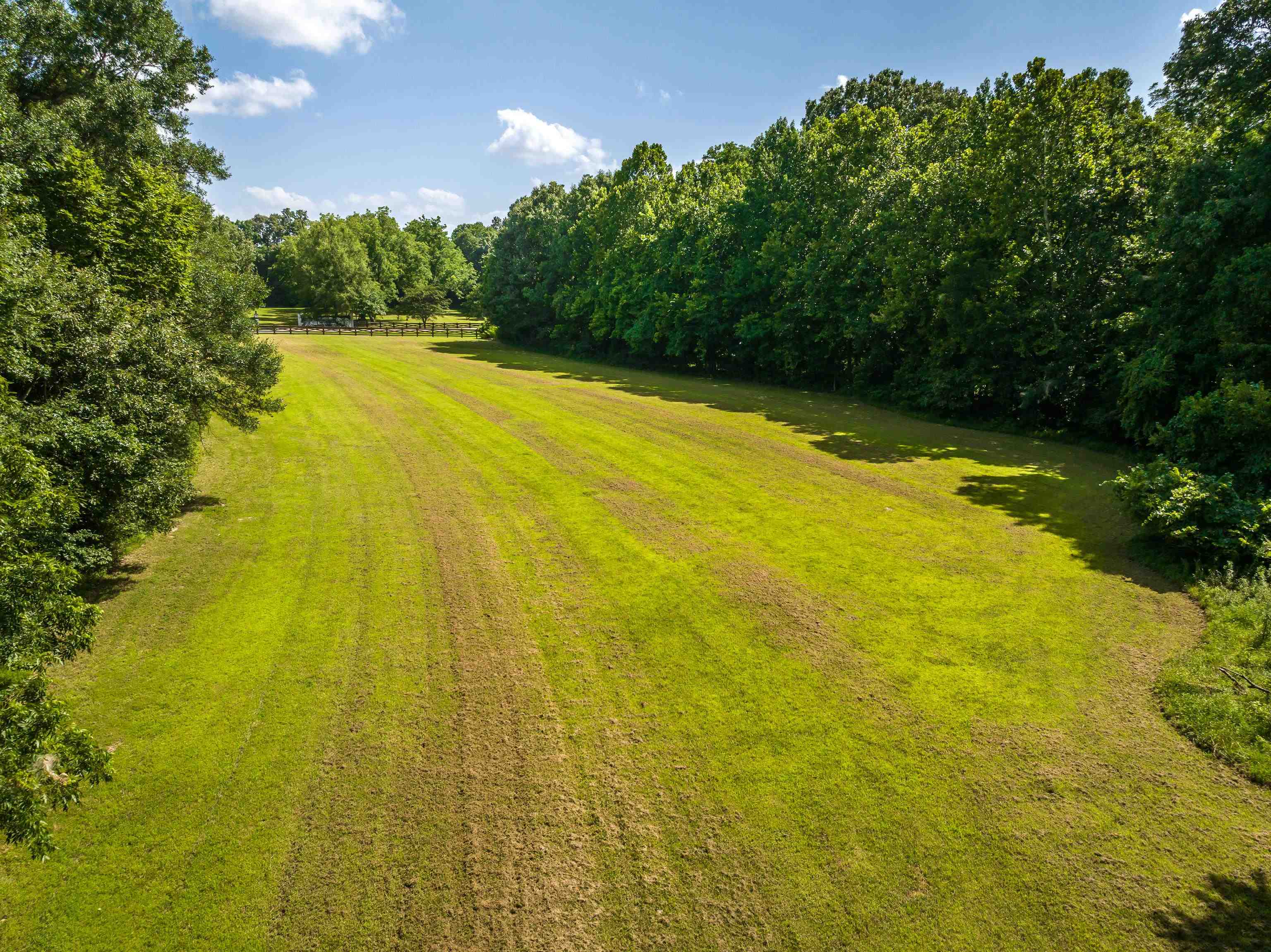 65 Ainsley Manor Dr Property Photo 3