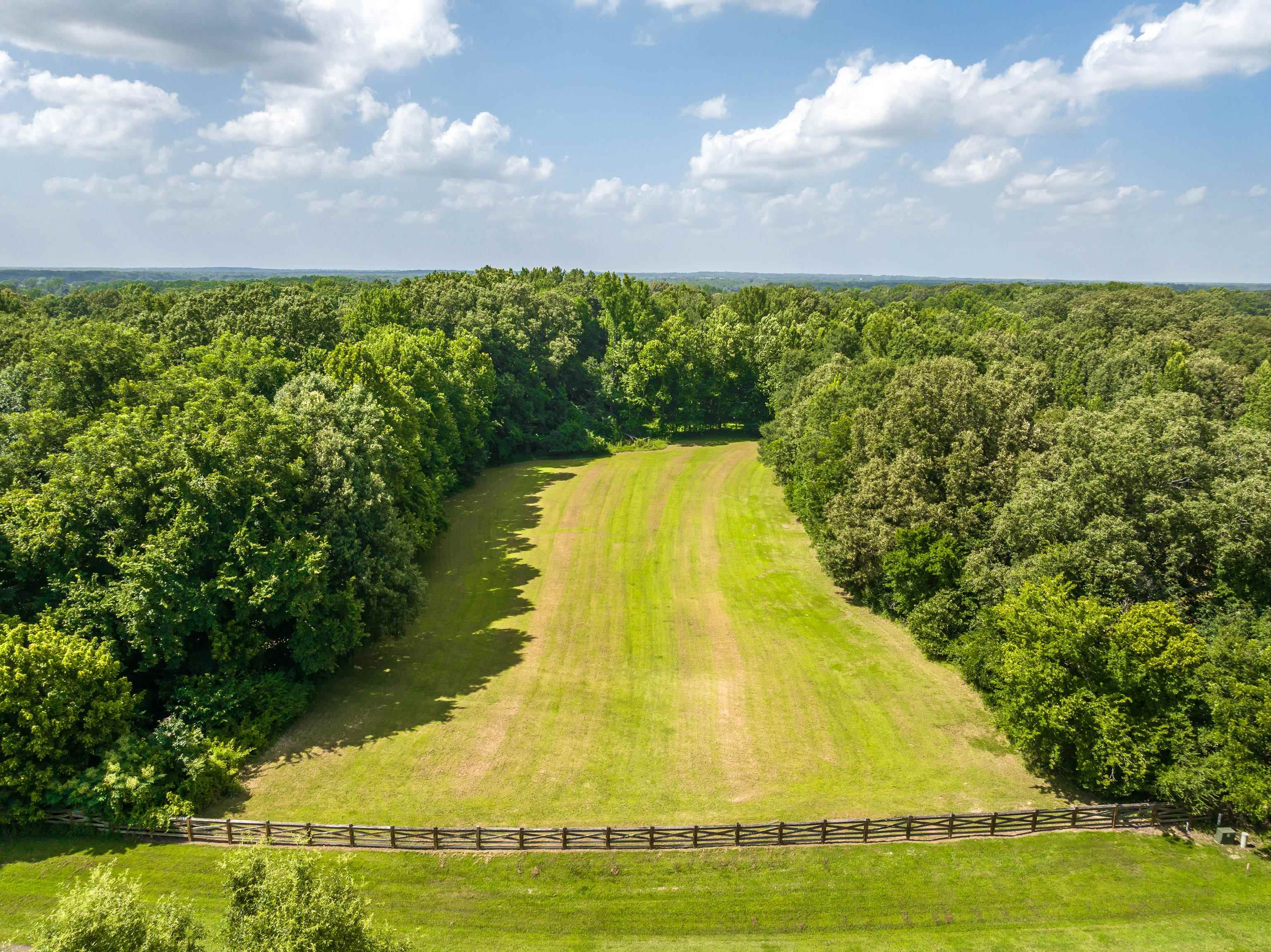 65 Ainsley Manor Dr Property Photo 4