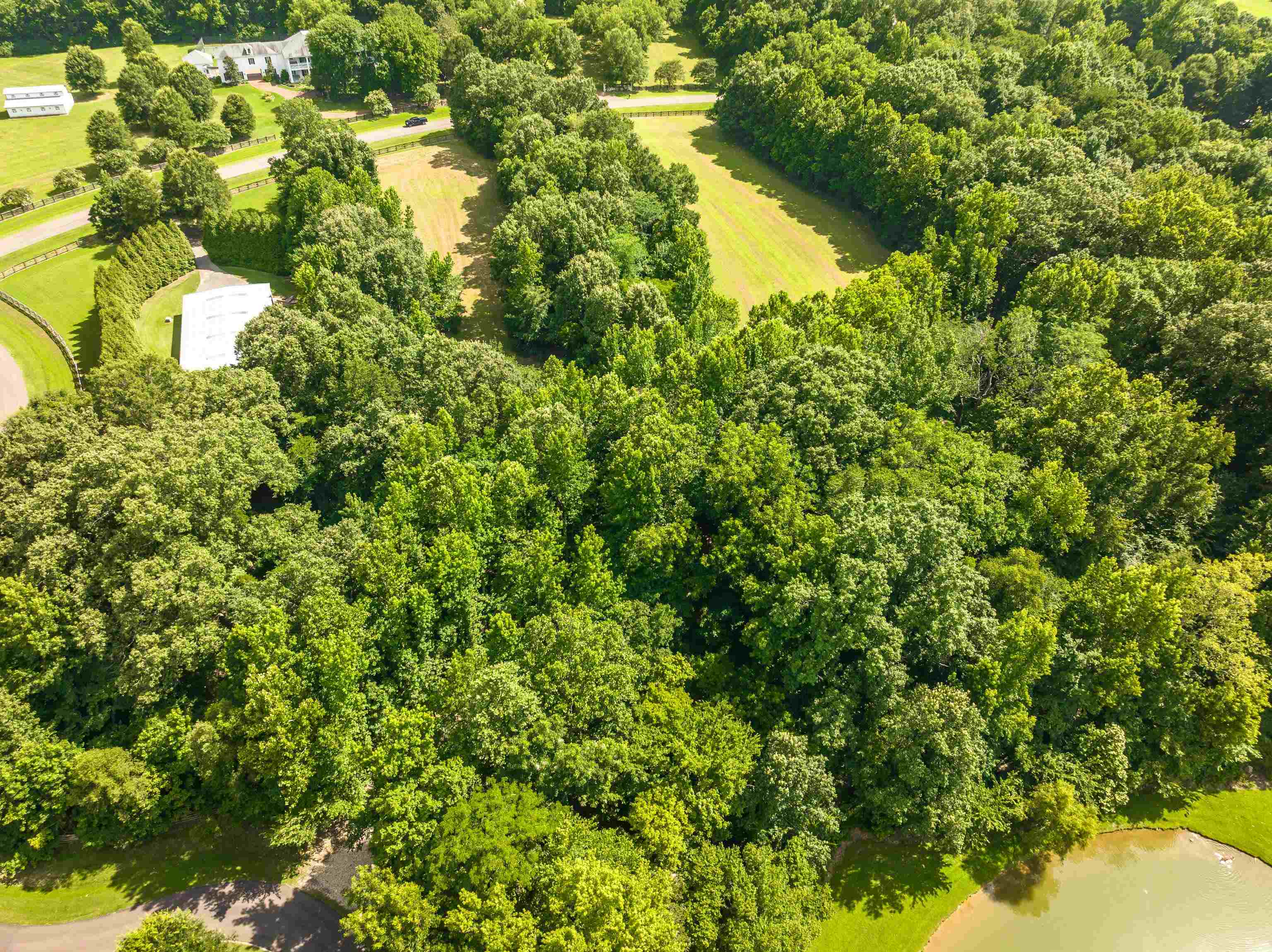 65 Ainsley Manor Dr Property Photo 7