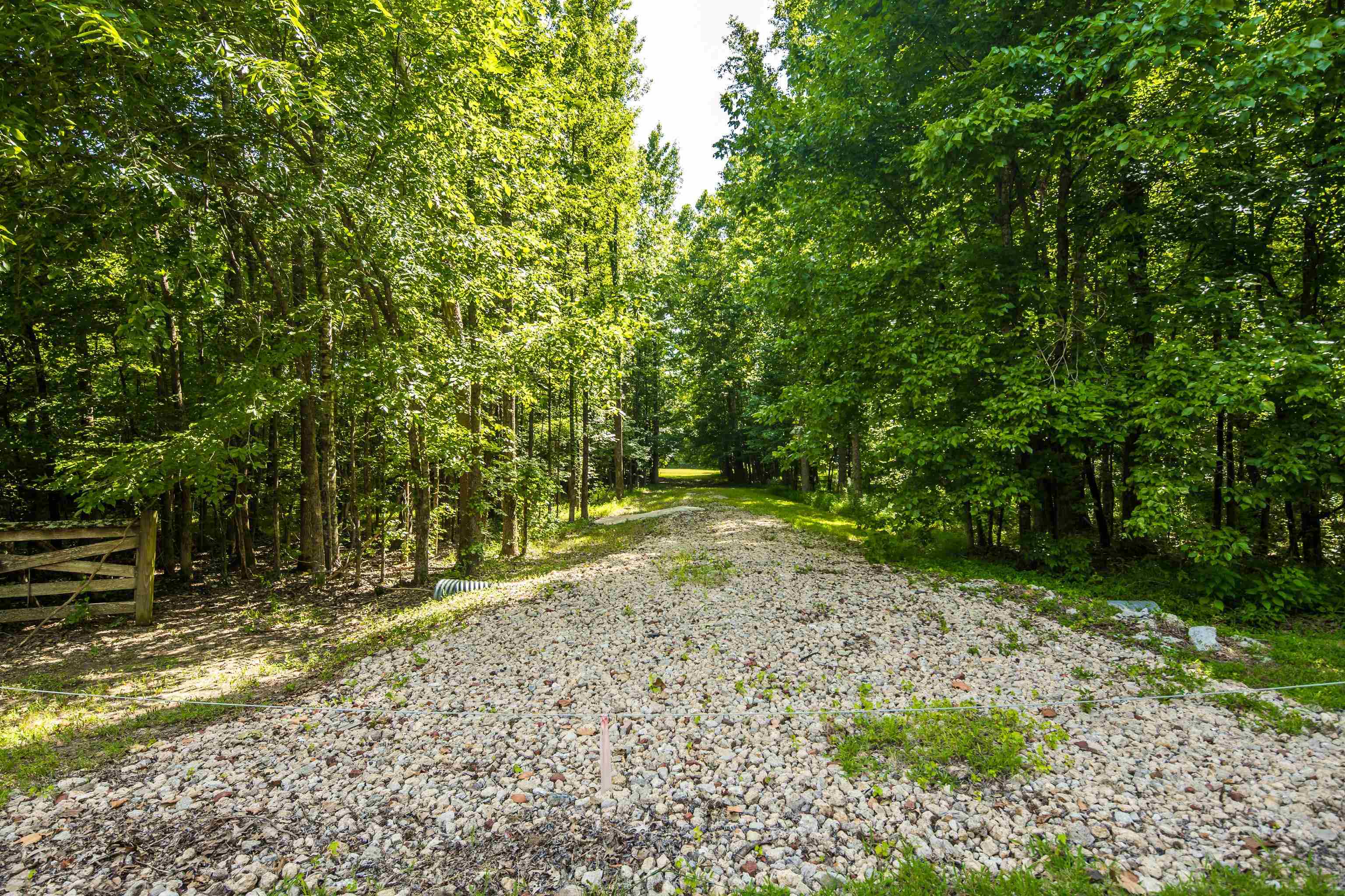 65 Ainsley Manor Dr Property Photo 8