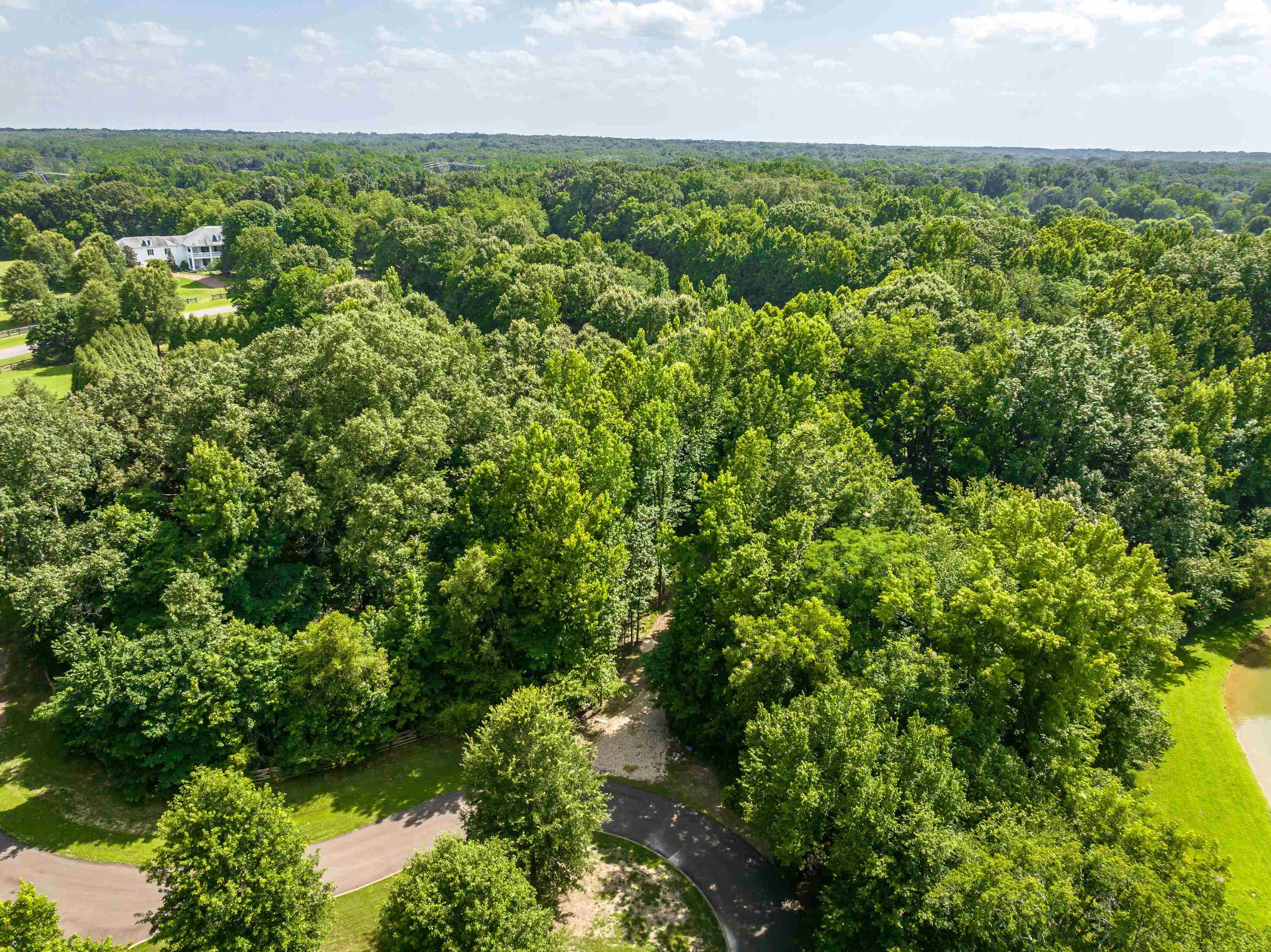 65 Ainsley Manor Dr Property Photo 12