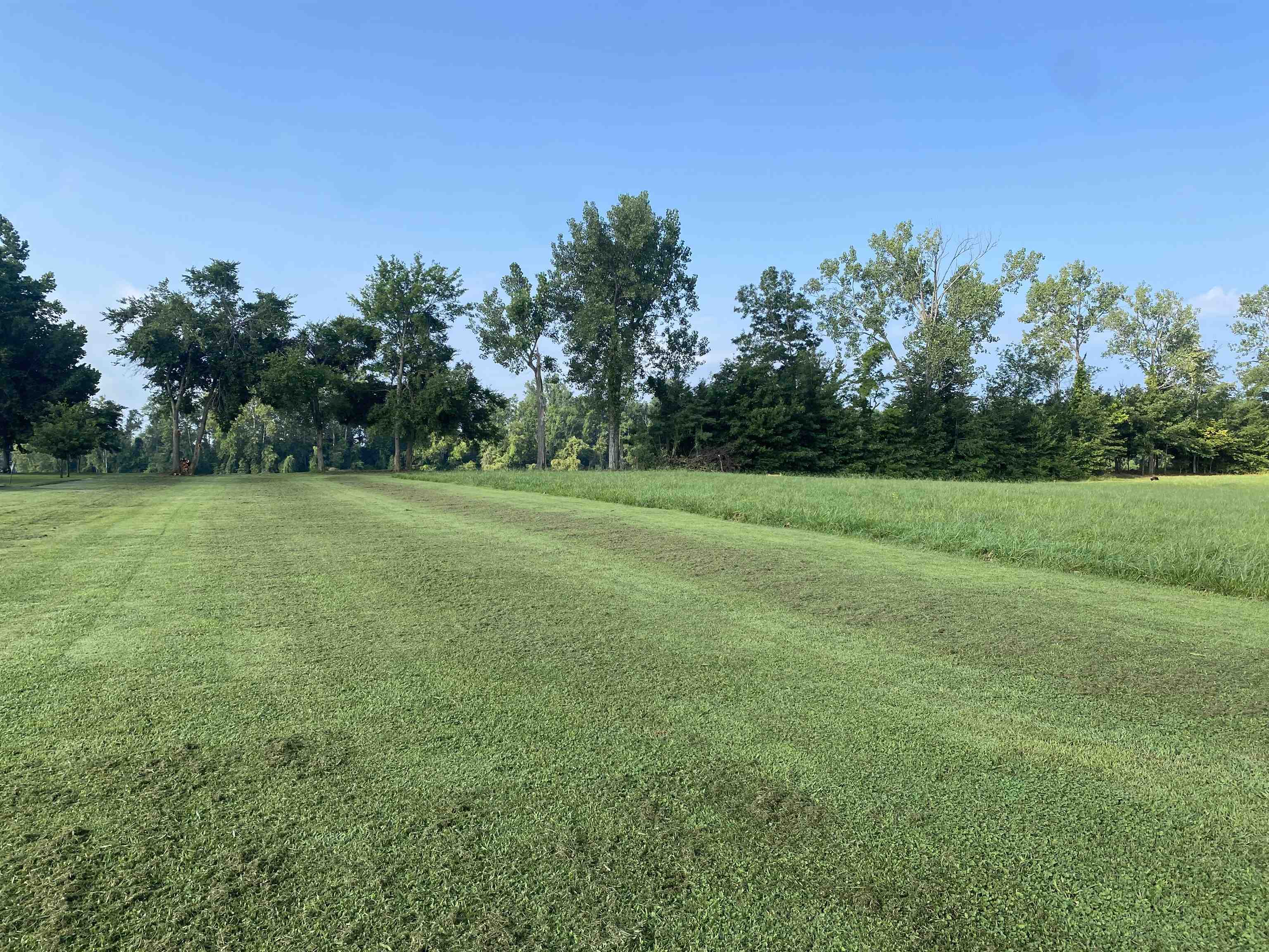 9 Catfish Ln Property Photo 6