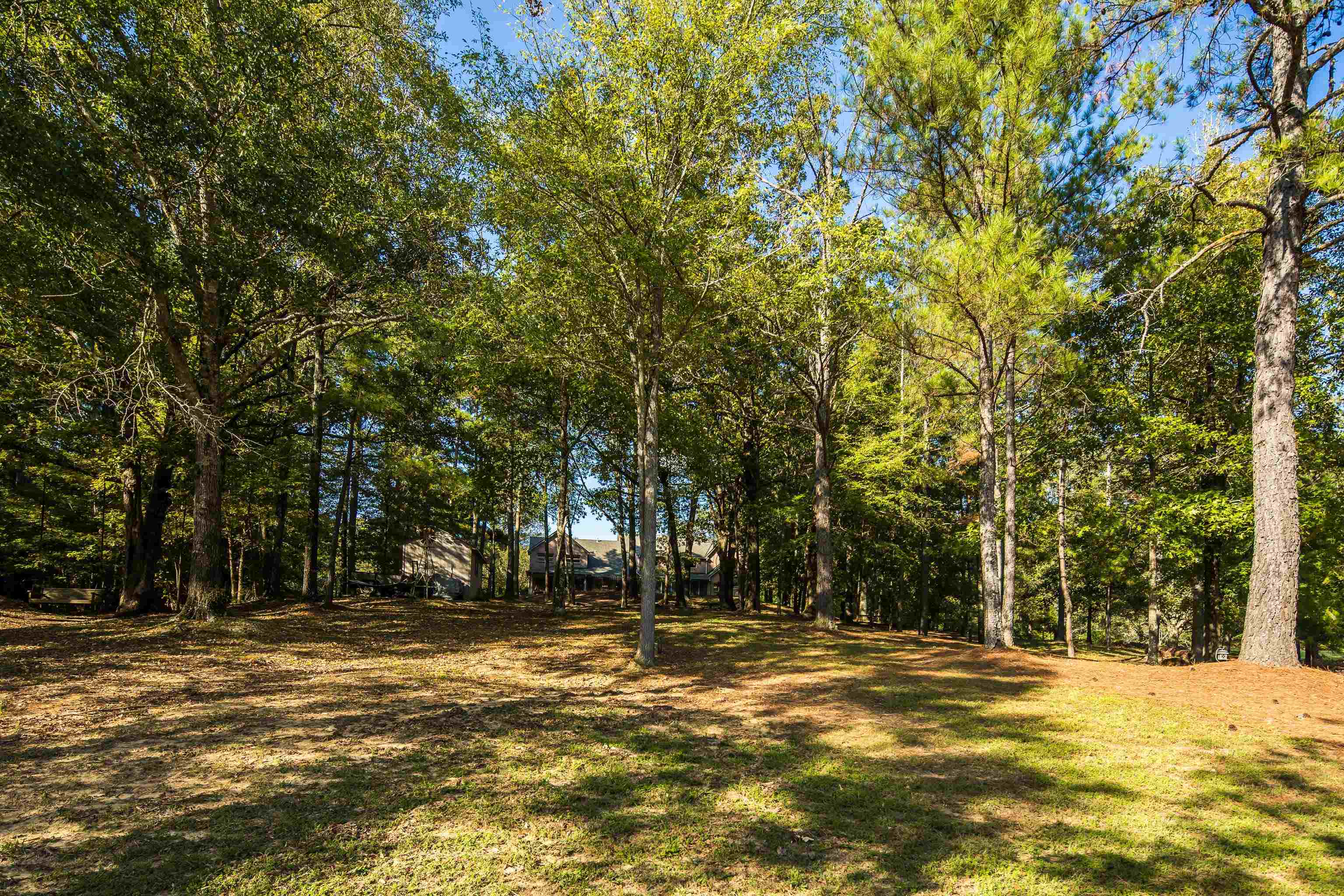 12965 Whispering Pines Dr Property Photo 37