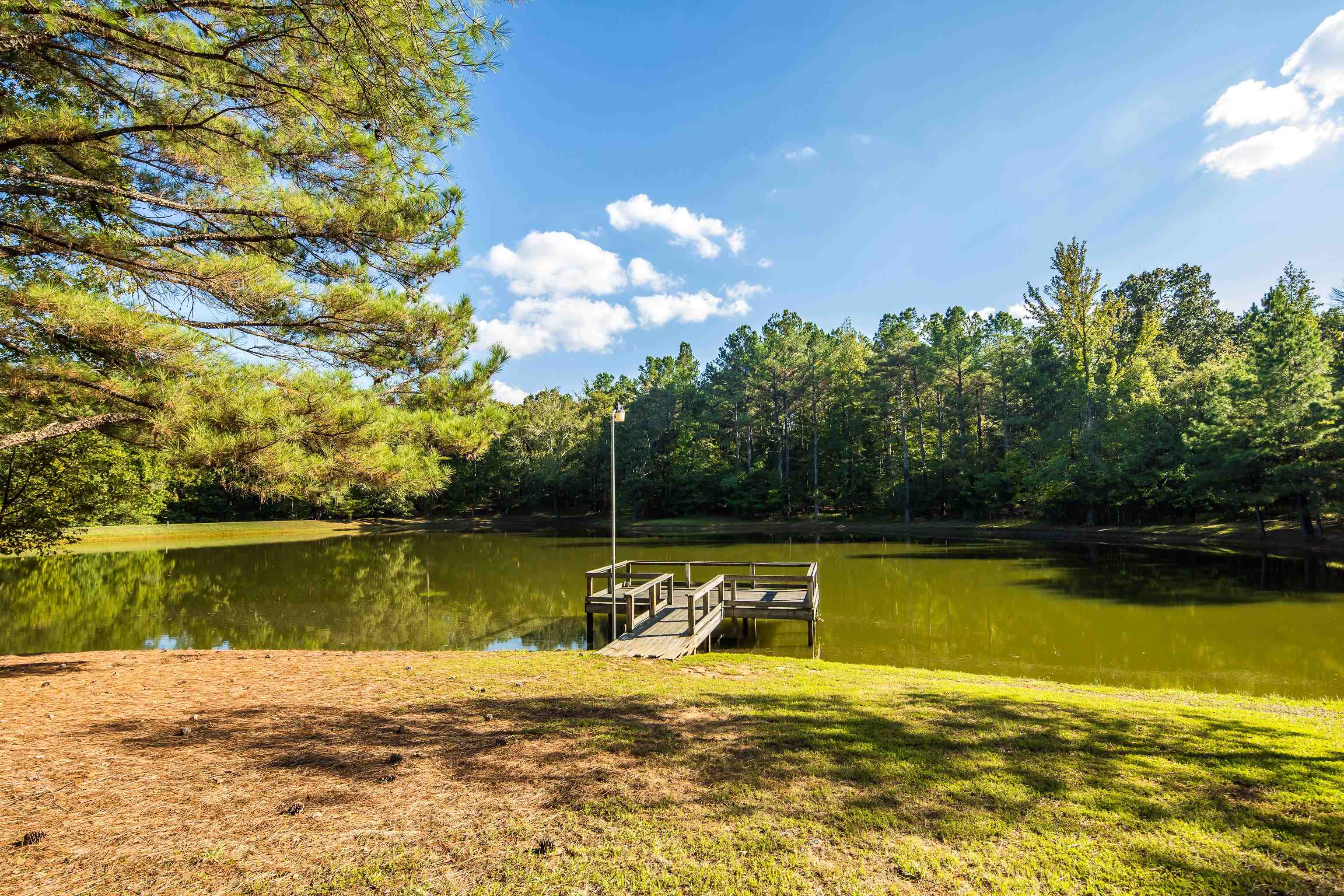 12965 Whispering Pines Dr Property Photo 38