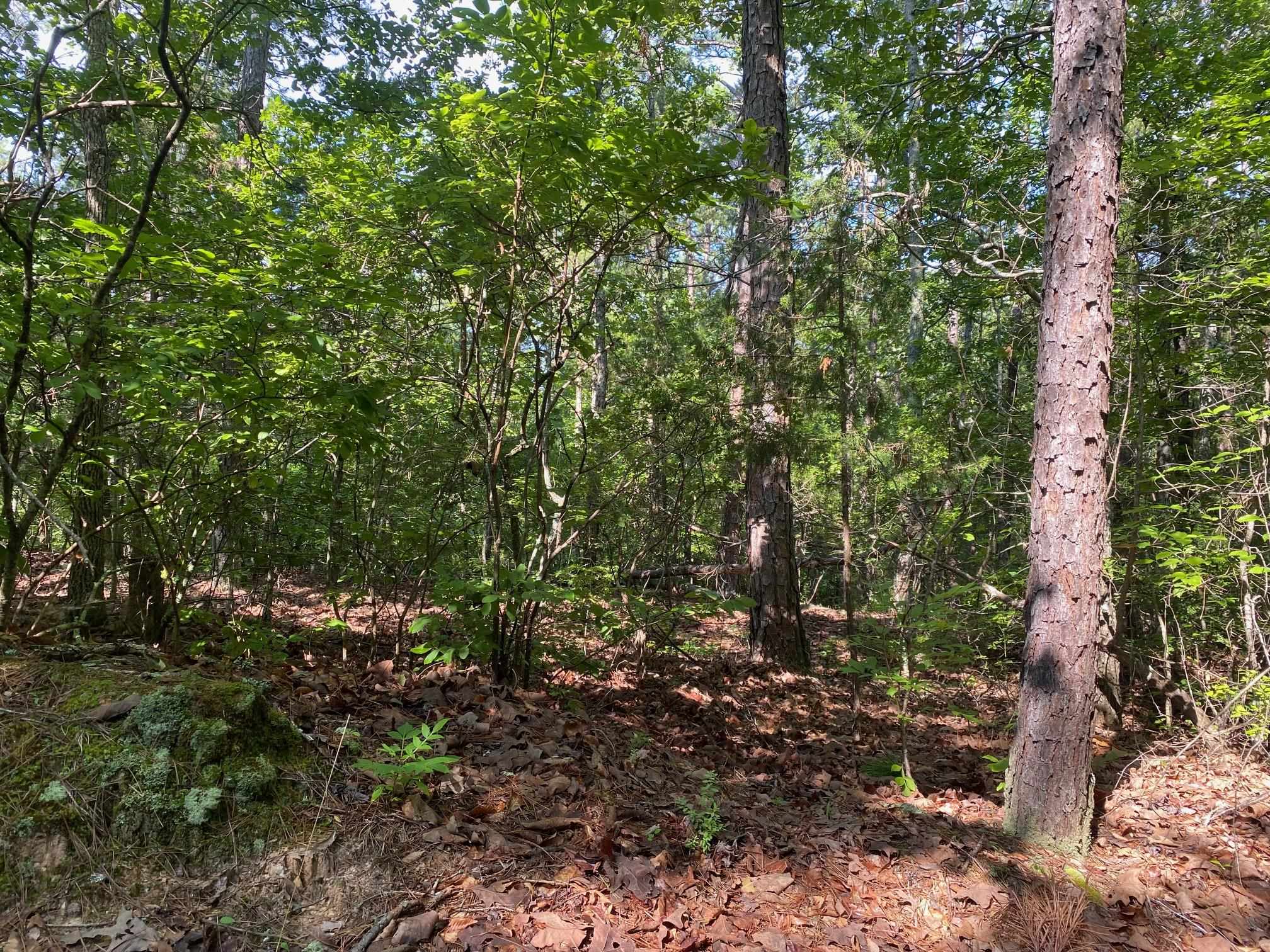 Sel Brooks Ln Property Photo 7