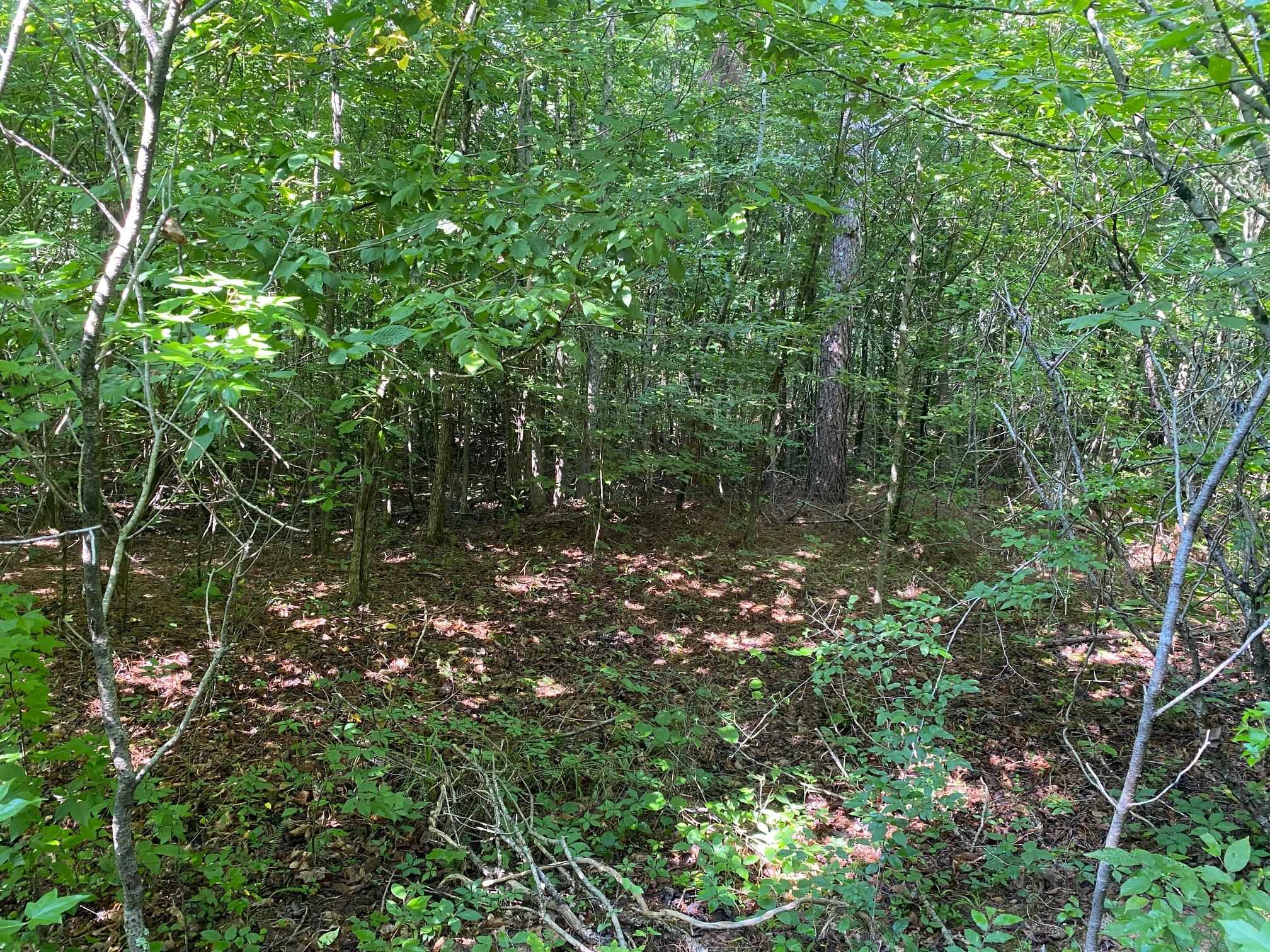 Sel Brooks Ln Property Photo 9