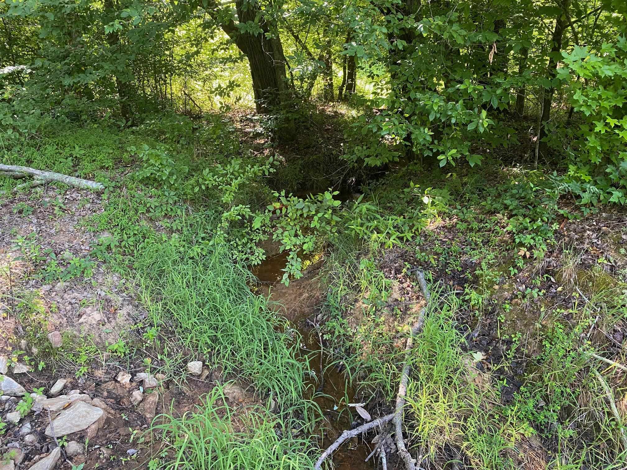 Sel Brooks Ln Property Photo 10