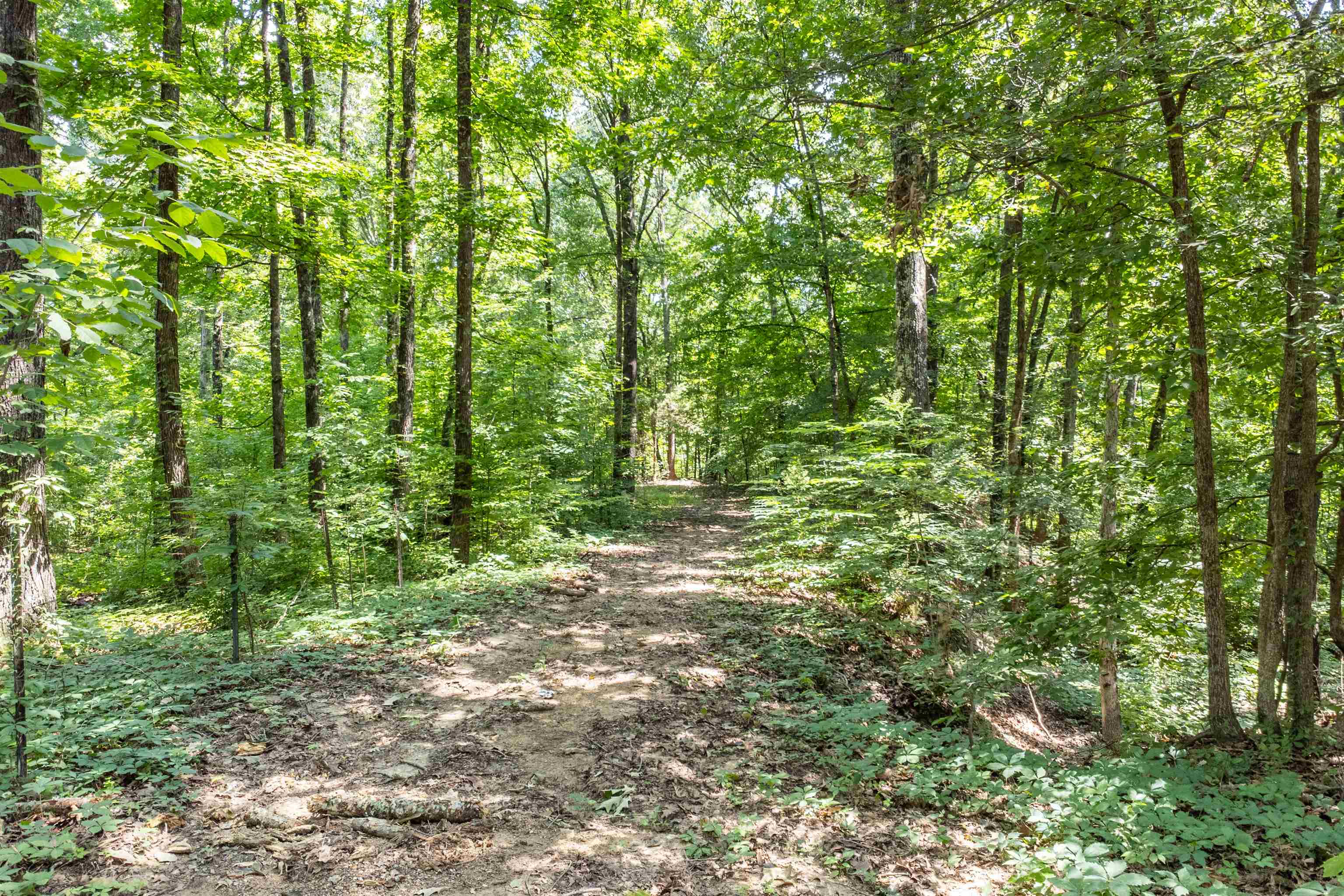 2665 Mccraw Loop Property Photo 7