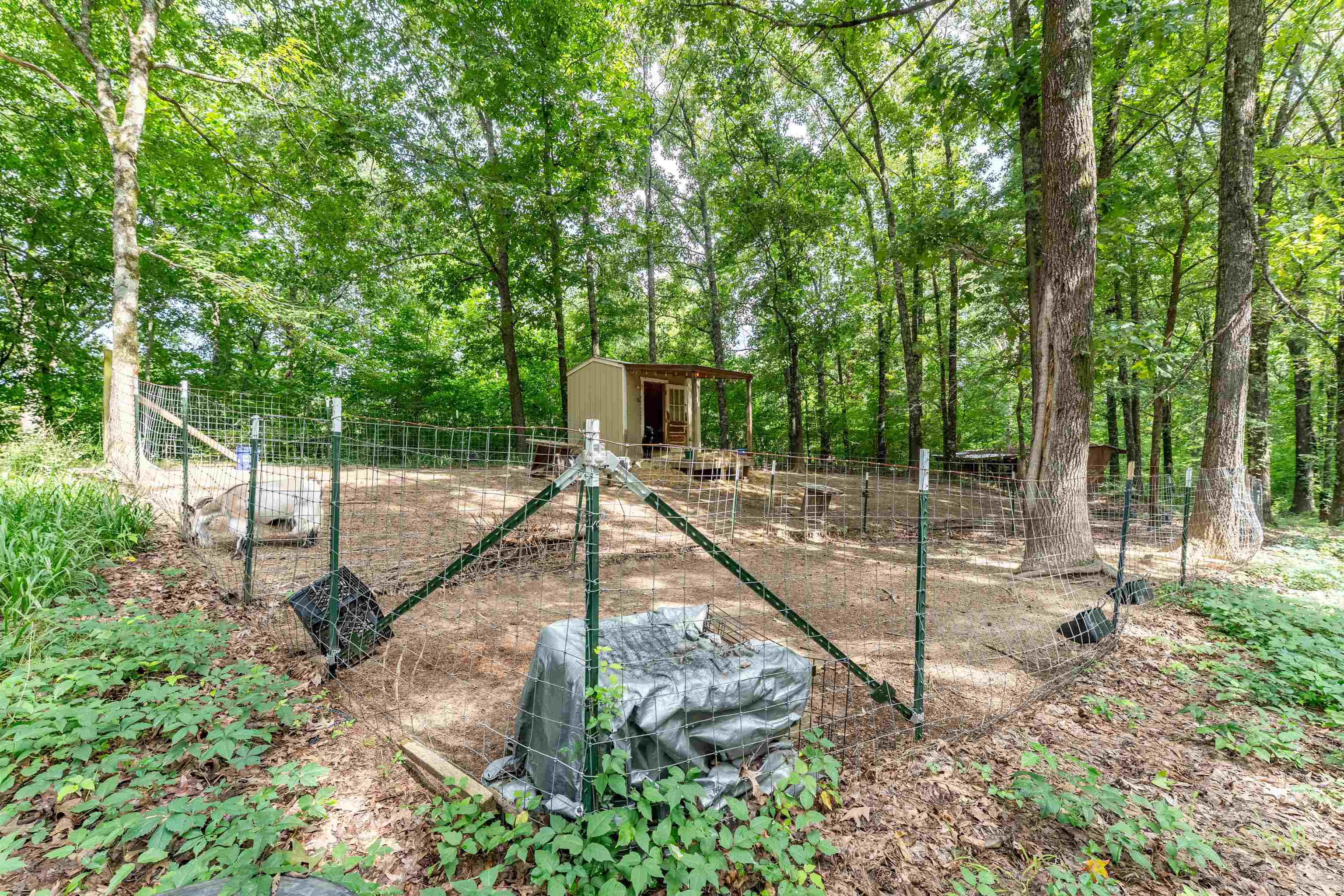 2665 Mccraw Loop Property Photo 14