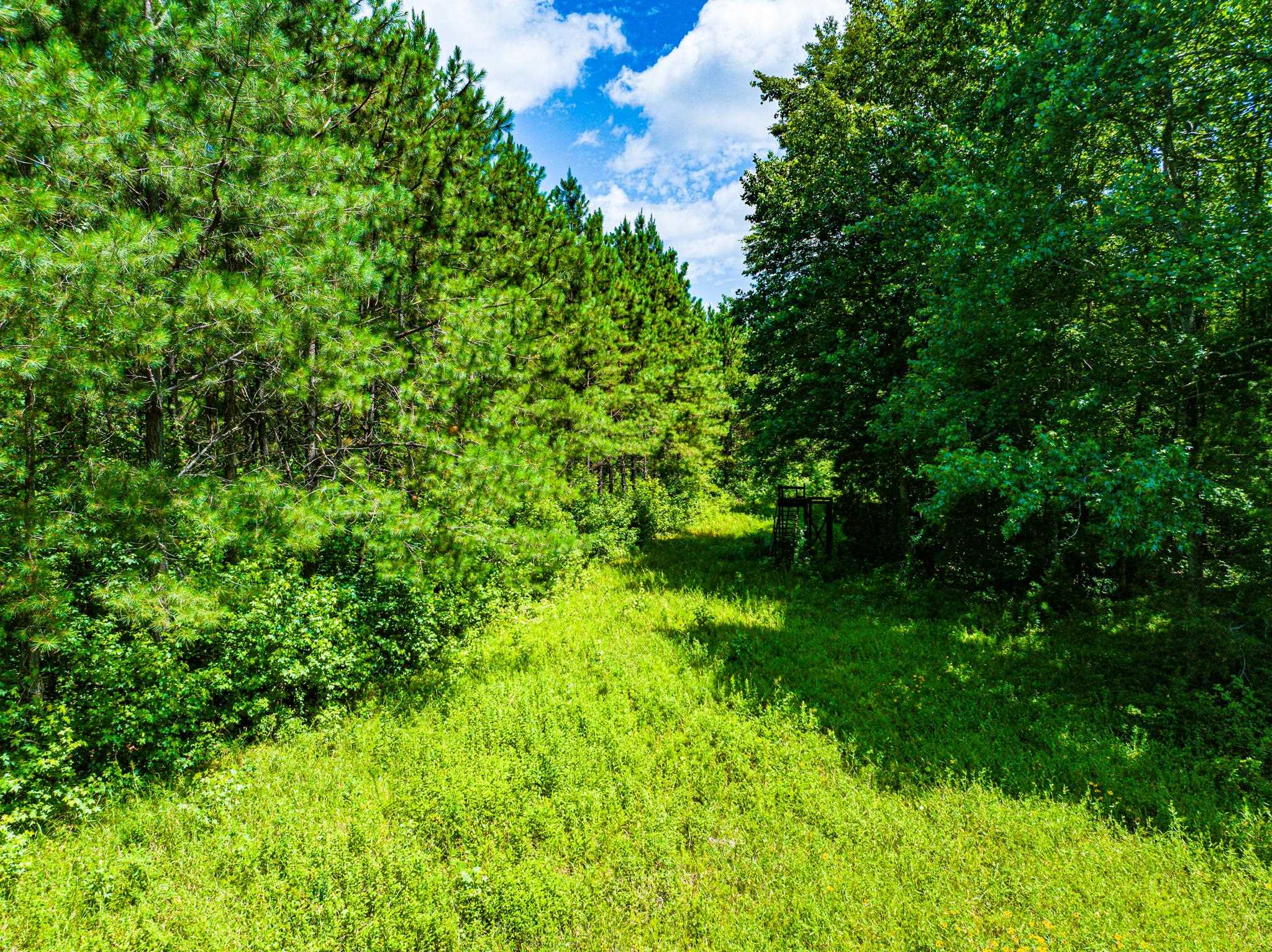 0 192 Hwy Property Photo 32