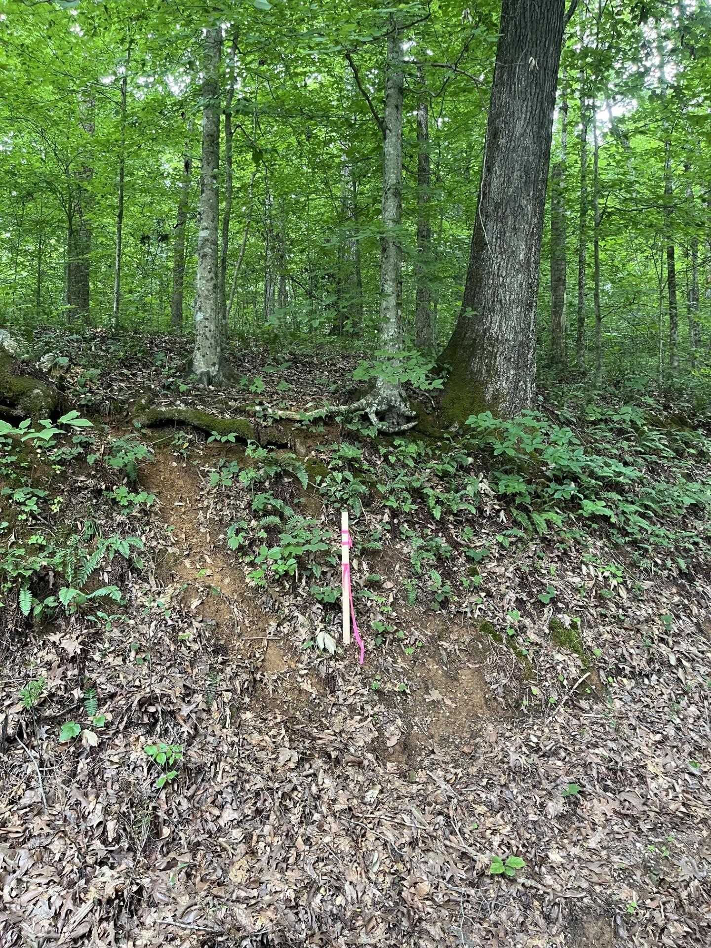 899 El Smith Rd S Property Photo 10