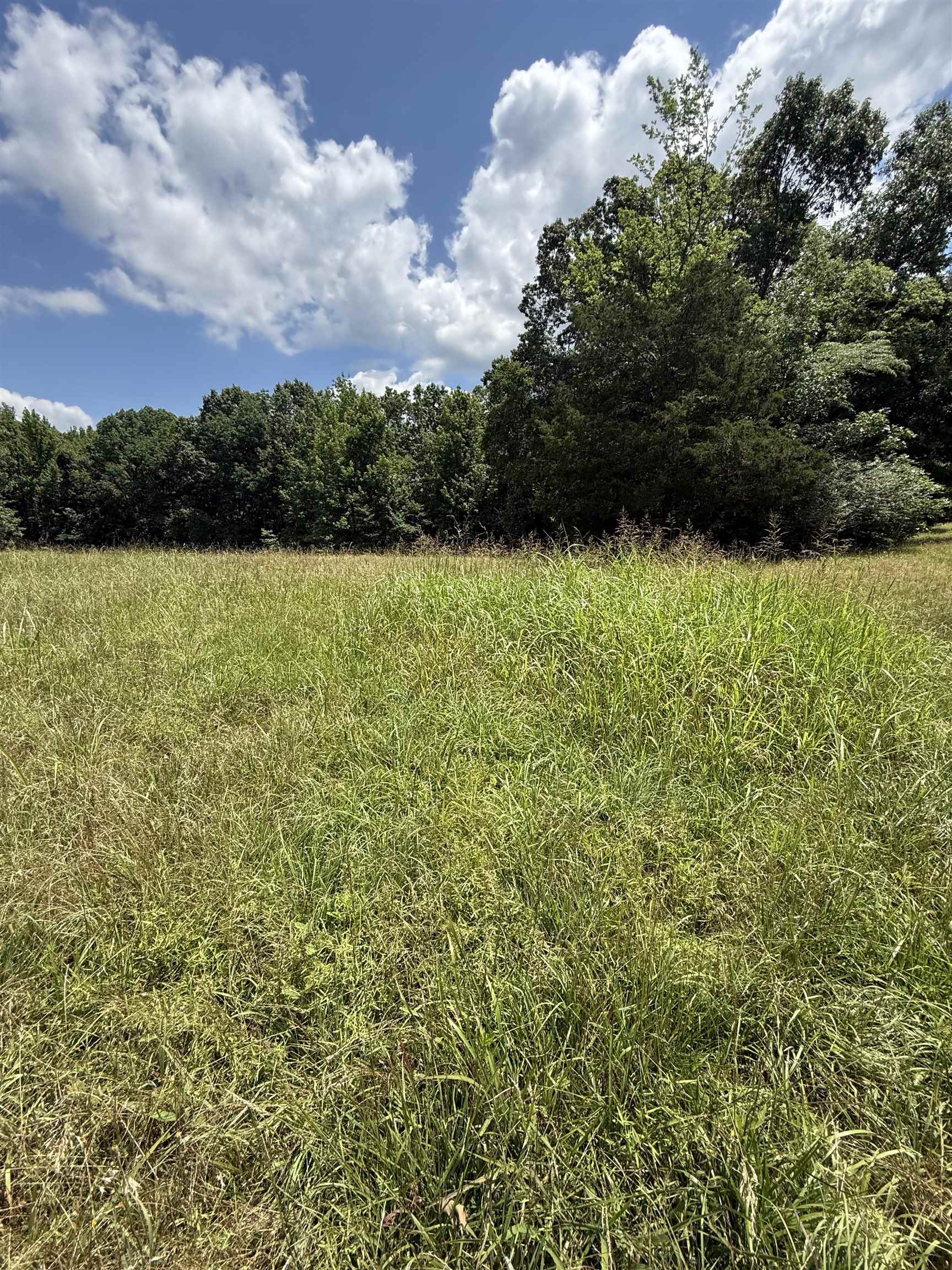 Old Ferry Rd Property Photo 6