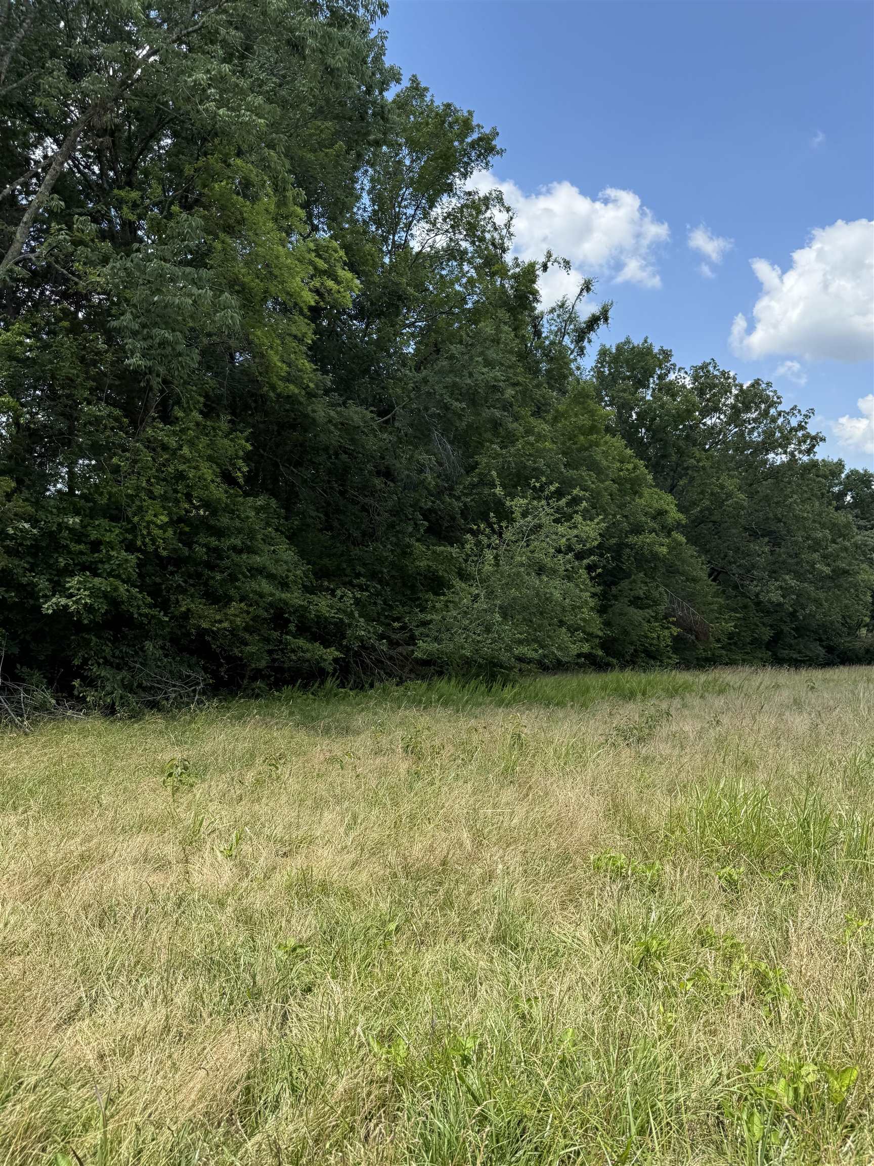 Old Ferry Rd Property Photo 8