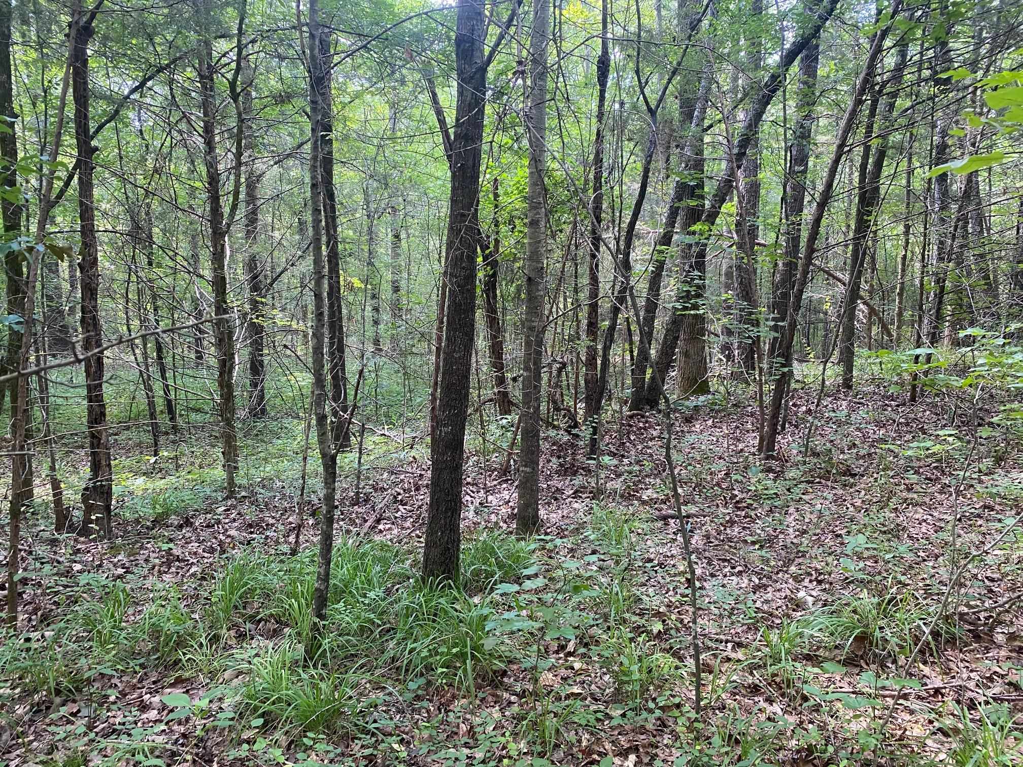 Leonard Ln Property Photo 2