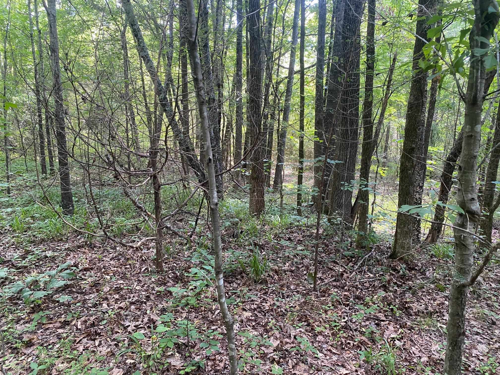 Leonard Ln Property Photo 3